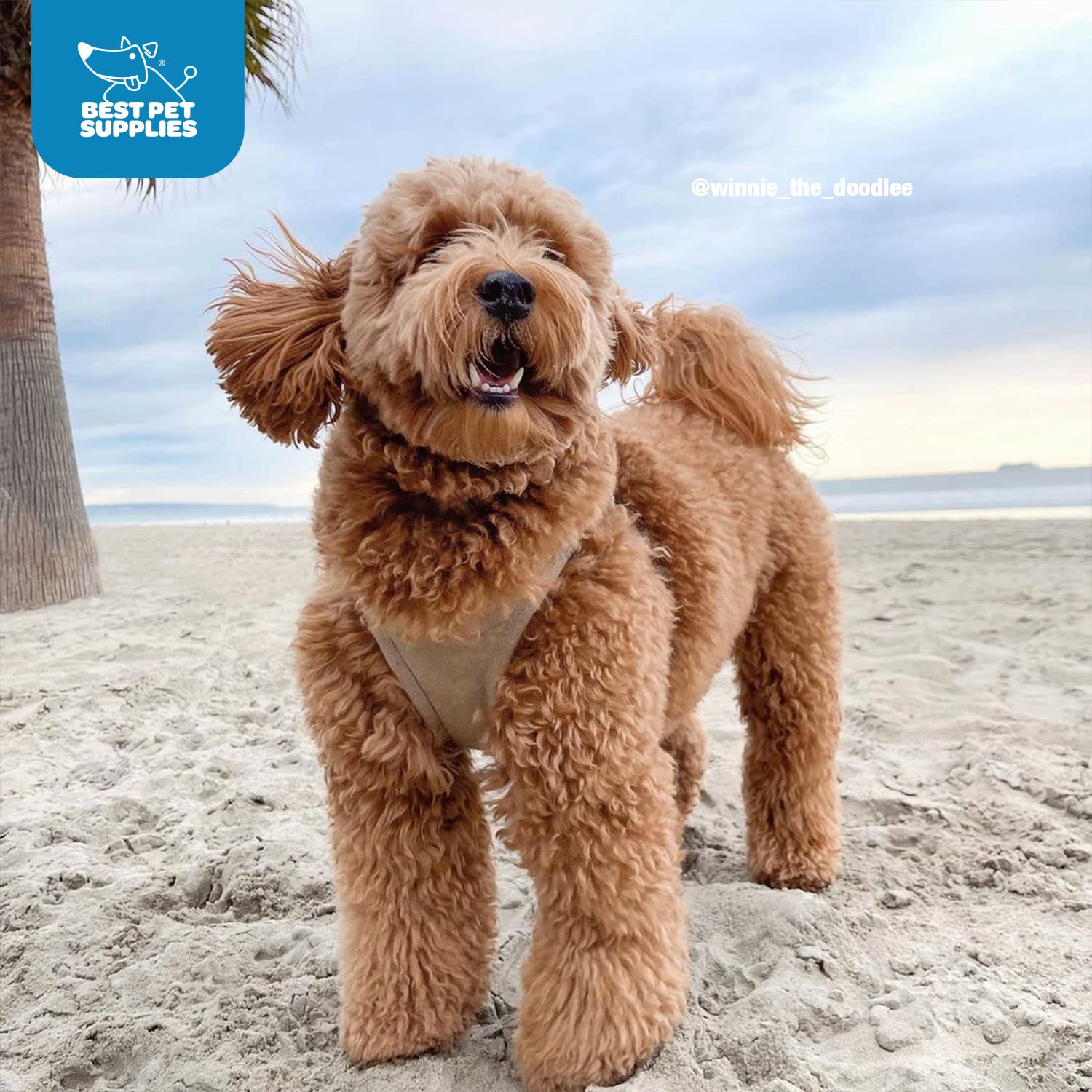 Voyager Step-In Plush Dog Harness - Soft Plush, Step In Vest Harness For Small And Medium Dogs By Best Pet Supplies - Latte Suede, Xl (Chest: 20.5 - 23')