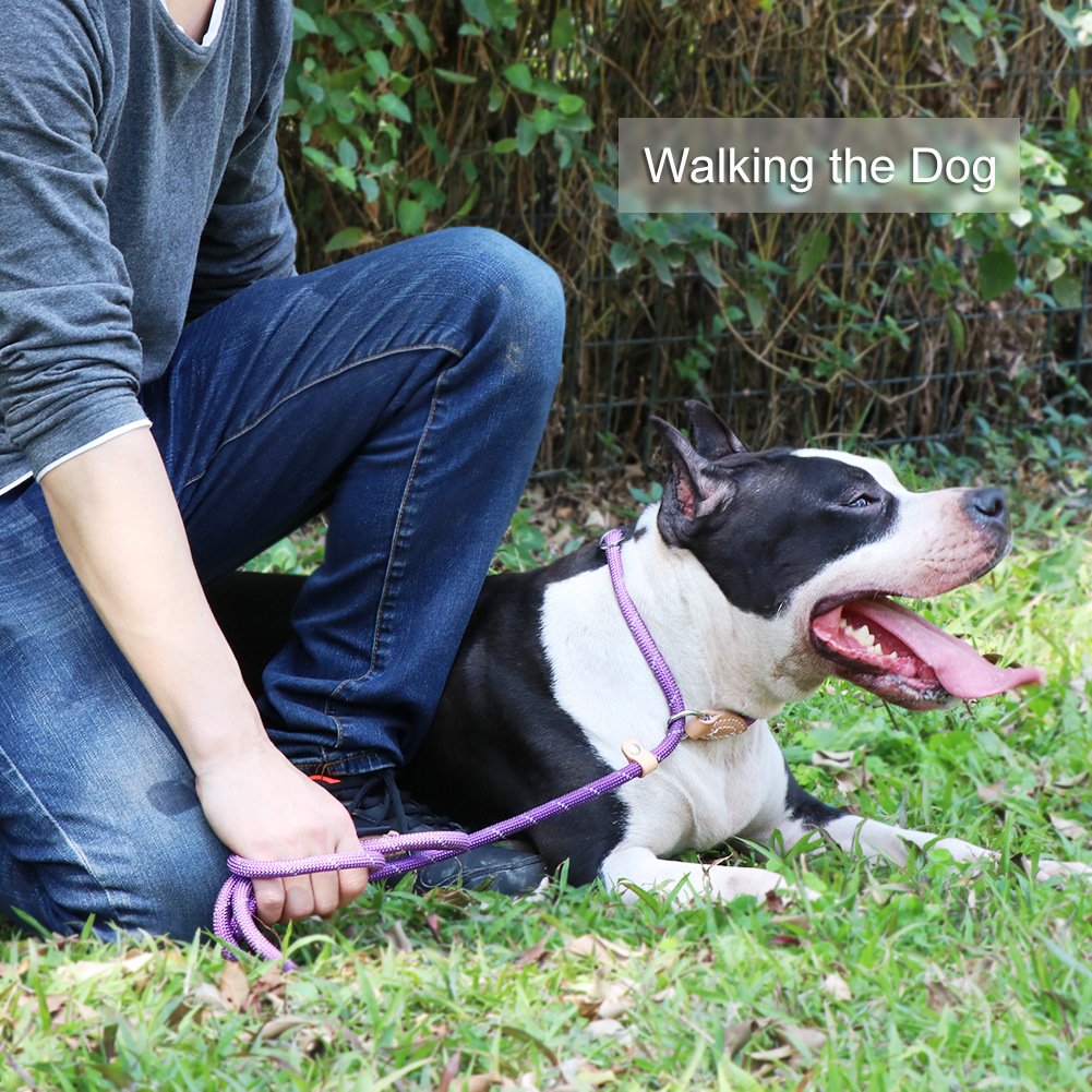 Grand Line Slip Lead Dog Leash, 5Ft Reflective Slip Rope, Puppy Training Walking Controlling Lead, Slip Collar Pet Leash For Small, Medium, Large Dogs (Purple, Medium-2/5In X 5Ft)