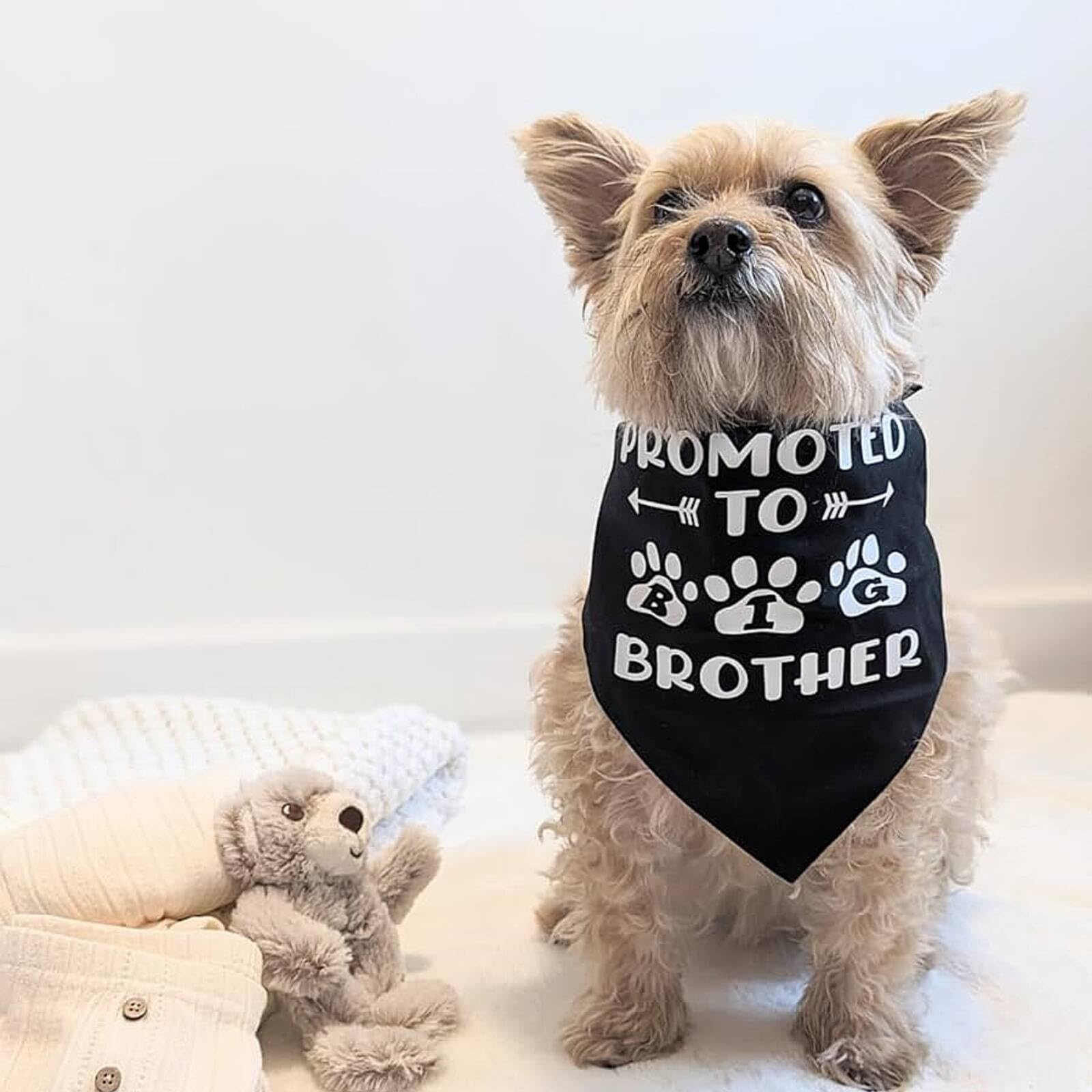 Gofshy Blank Dog Bandanas Large-2Pcs, Diy Solid Black Triangle Scarf Premium Cotton Handkerchief Or Bib, Personalized Design Bir