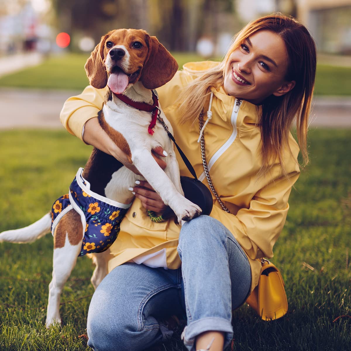 Pet Soft Washable Female Dog Diapers (3 Pack) - Reusable XS Doggy Diapers in Cute Flower for Period Heat