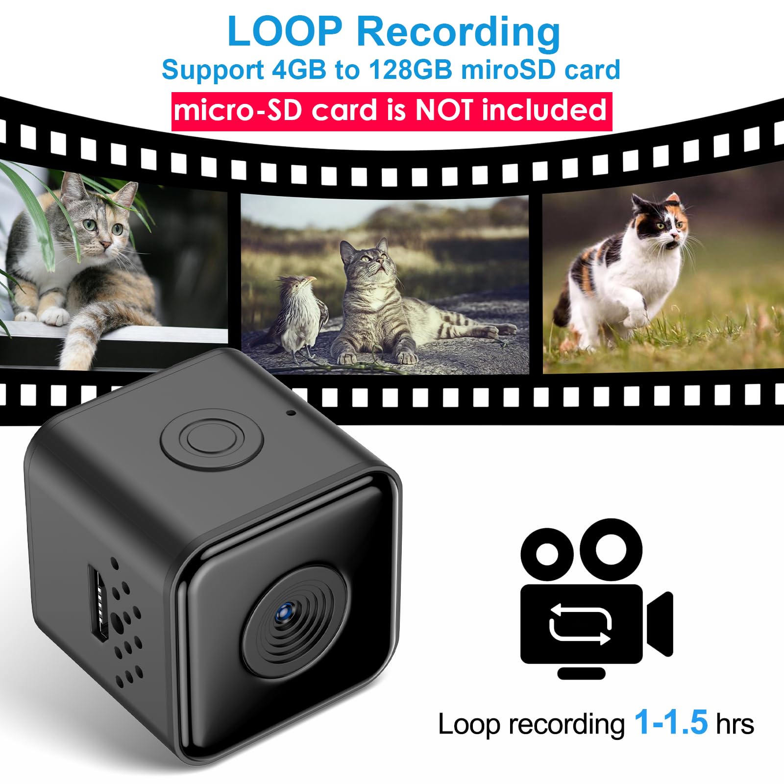 Kinetcam Cat Camera Collar,No App No Wifi Needed Cordless Cat Collar Camera With Video Record, M-Size Collar For Dogs/Big Cats,P