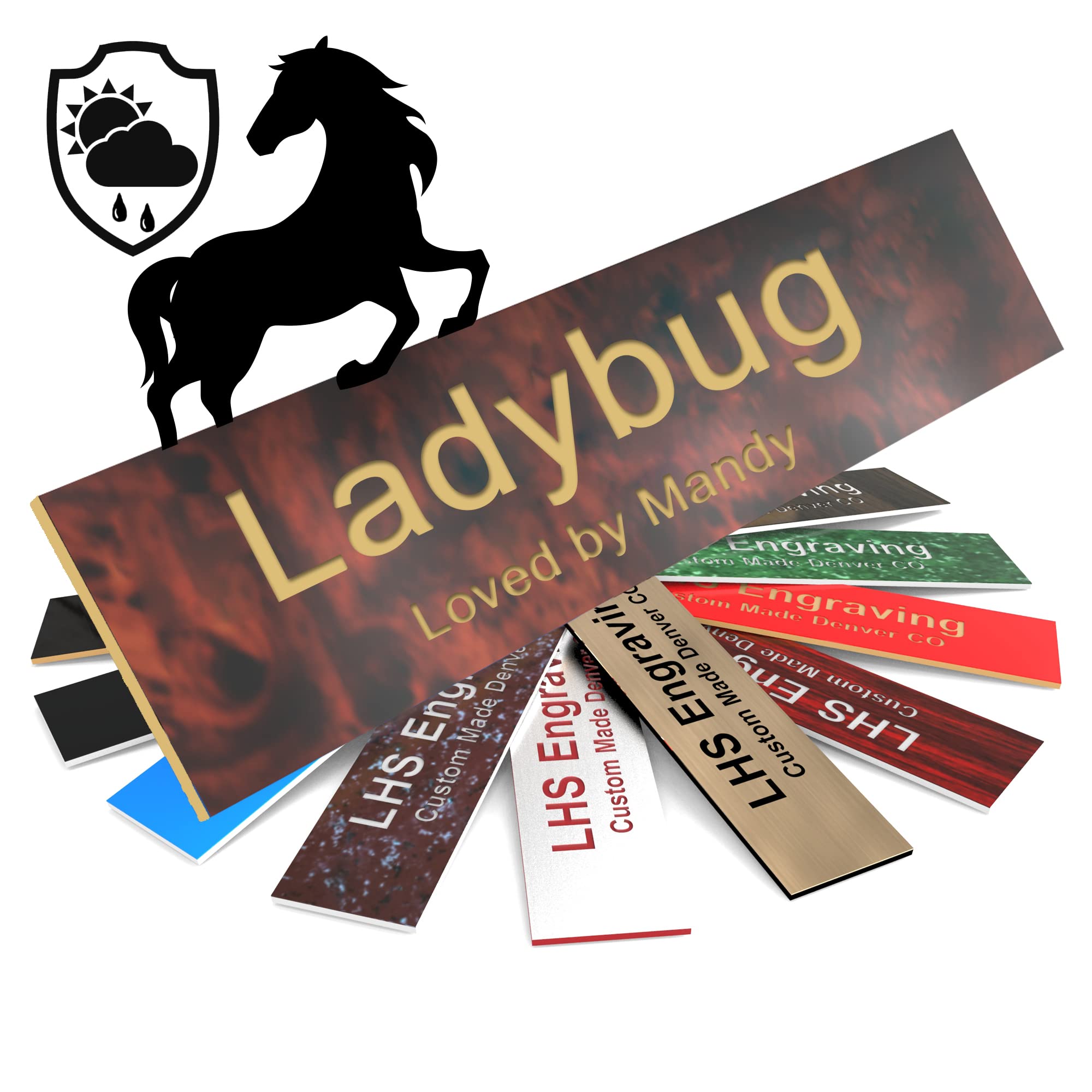 Lhs | Horse Stall Name Plate, 2X10 Personalized Stall Signs, Uv Protected, All Weather Adhesive, Hanging, Mounting Or Other, Bur