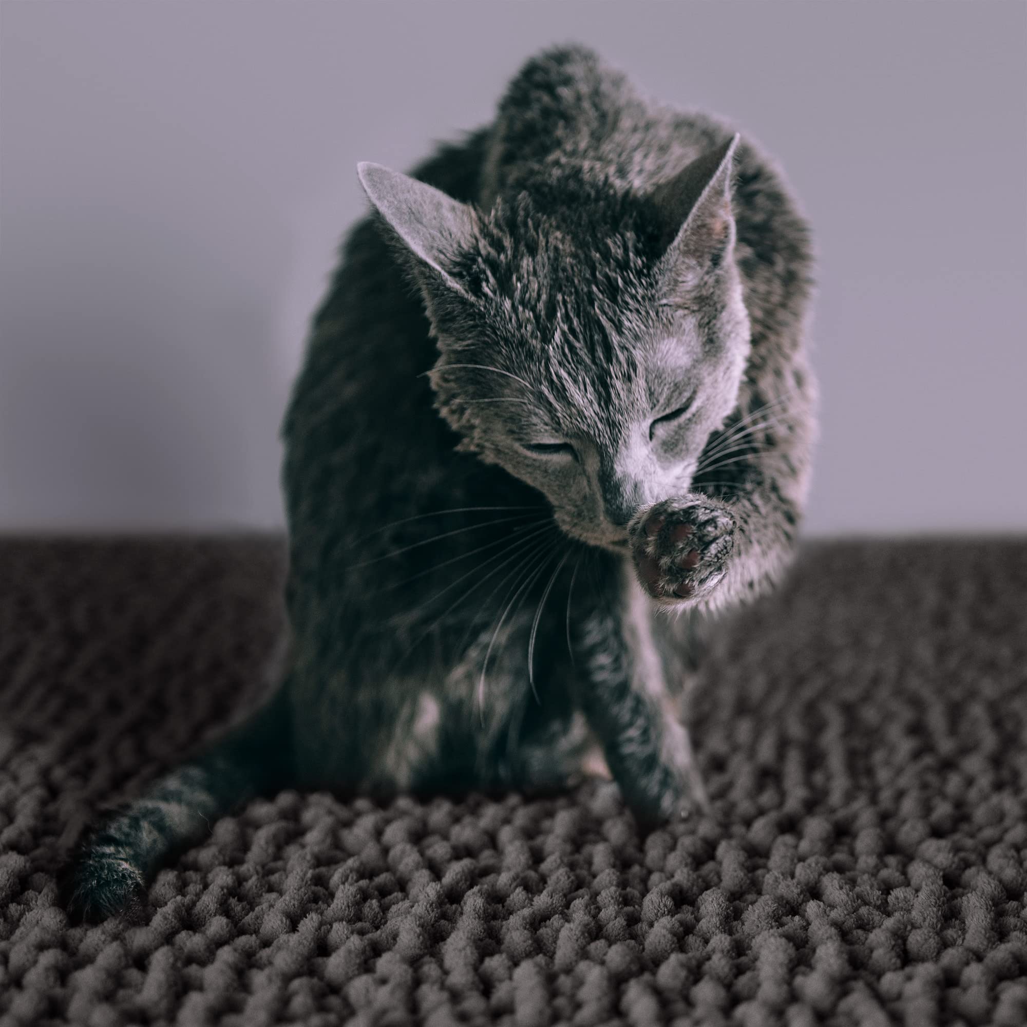 Catguru Cat Litter Mat, Medium, Extra Large, Xxl, Waterproof Litter Box Mat, Non Slip Kitty Litter Mat, Machine Washable Litter Trapping Mat, Soft Litter Tray, Cat Stuff (Dark, Xl/Heavy Duty)