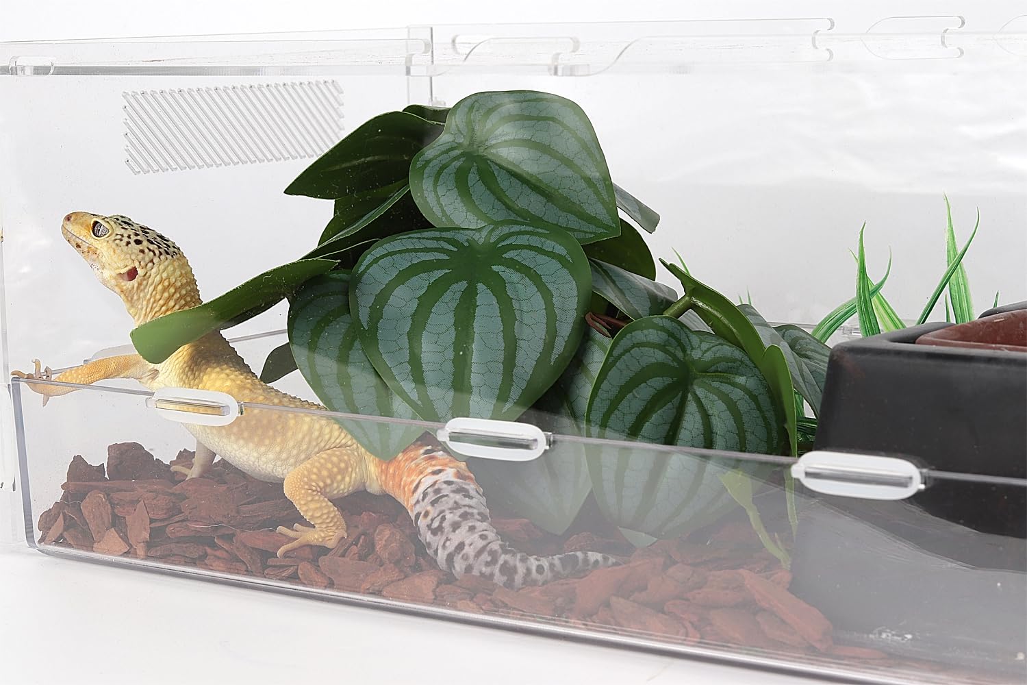 WOLEDOE Reptile Plants for Terrarium, Ball Python Tank Decor Accessories fit Bearded Dragon Crested Leopard Gecko Lizard Chamele