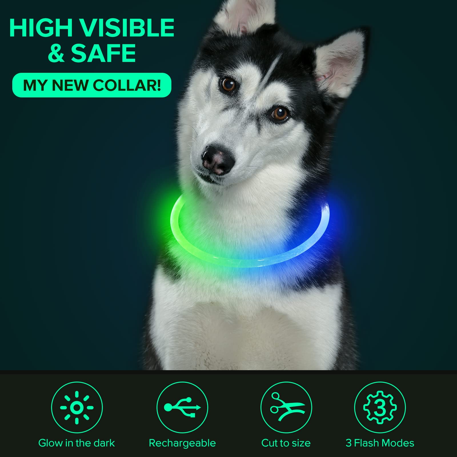 Colaseeme Led Dog Collar Light Up Dog Collars 1 Count Usb Rechargeable Tpu Glow Safety Basic Dog Collars For Large Medium Small