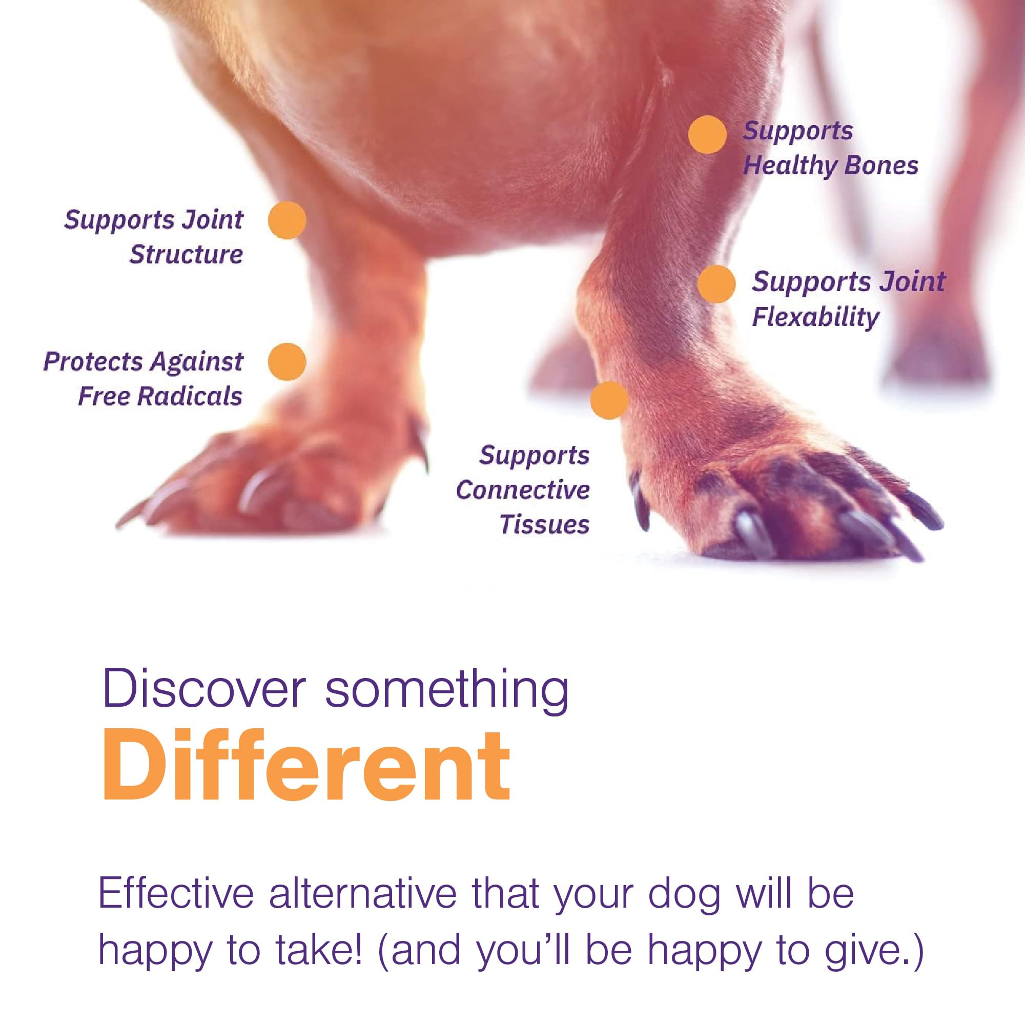 MOVOFLEX Soft Chews for Large Dogs - Hip and Joint Support Supplement, 60 Count, Model 10702