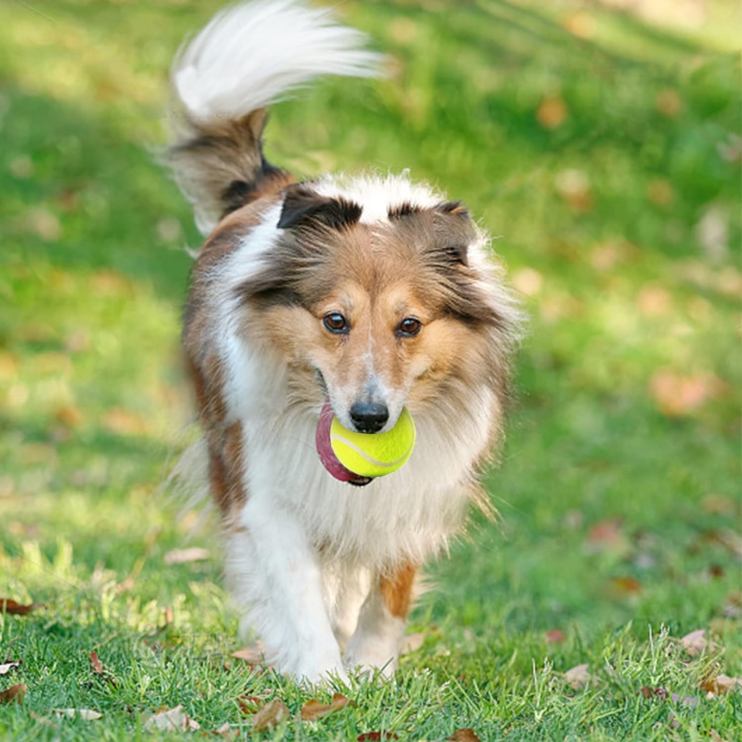 MEKAPLE 12 Pack Mini Tennis Ball for Pet Playing Fecth, 2 inch Dog Training Tennis Balls for Small Size Dogs, Interactive Dogs P