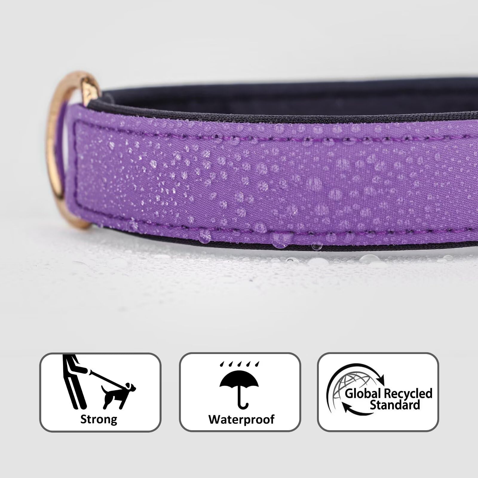 Didog Soft Padded Dog Collars For Small Dogs, Lightweight And Breathable Dog Collar Waterproof With Metal Buckle For Puppy, Purp