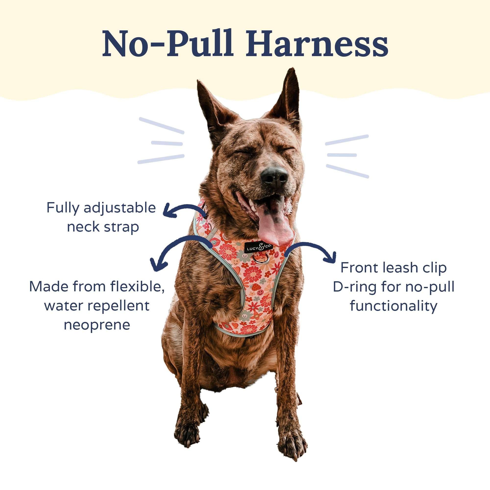 Lucy & Co. The Y2K Baby No-Pull Dog Harness - Size Medium - Vest to Stop Pulling & Walk Easy - Comfortable Leash Training Produc