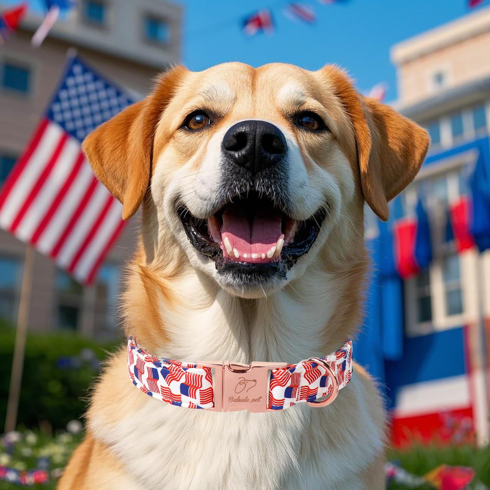 Babole Pet American Flag Dog Collar - 4Th Of July Dog Dog Collars For Medium Dogs, Adjustable Independence Day Metal Buckle Patr