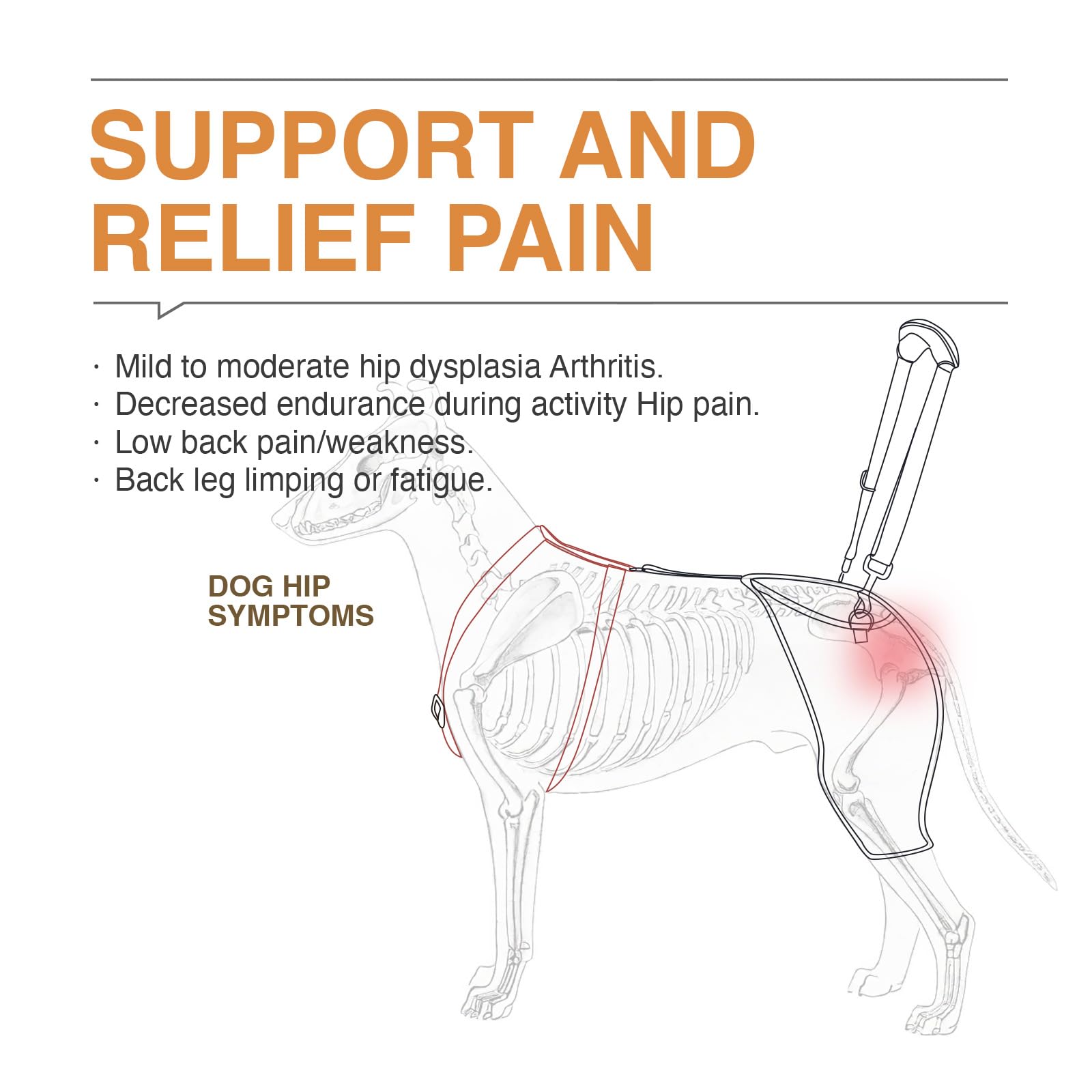 LISPOO Dog Hip Brace for Large Dogs - Adjustable Orthopedic Support Wrap for Dysplasia/Arthritis-Sufficient Breathability, Warm
