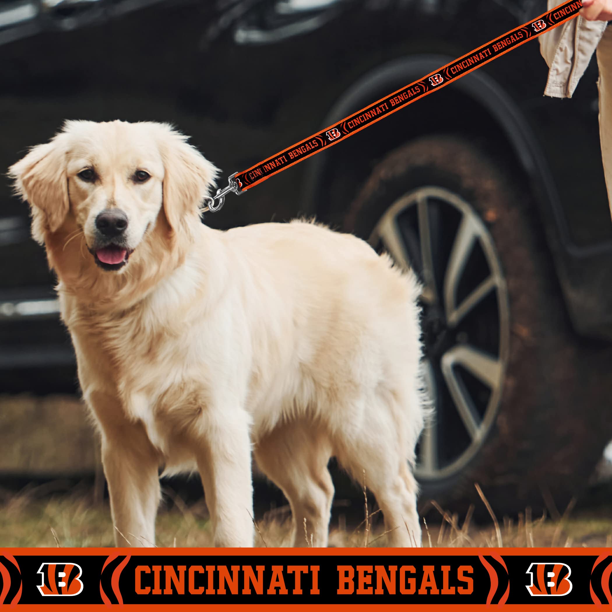 Nfl Pet Leash Cincinnati Bengals Dog Leash, Medium Football Team Leash For Dogs & Cats. A Shiny & Colorful Cat Leash & Dog Leash
