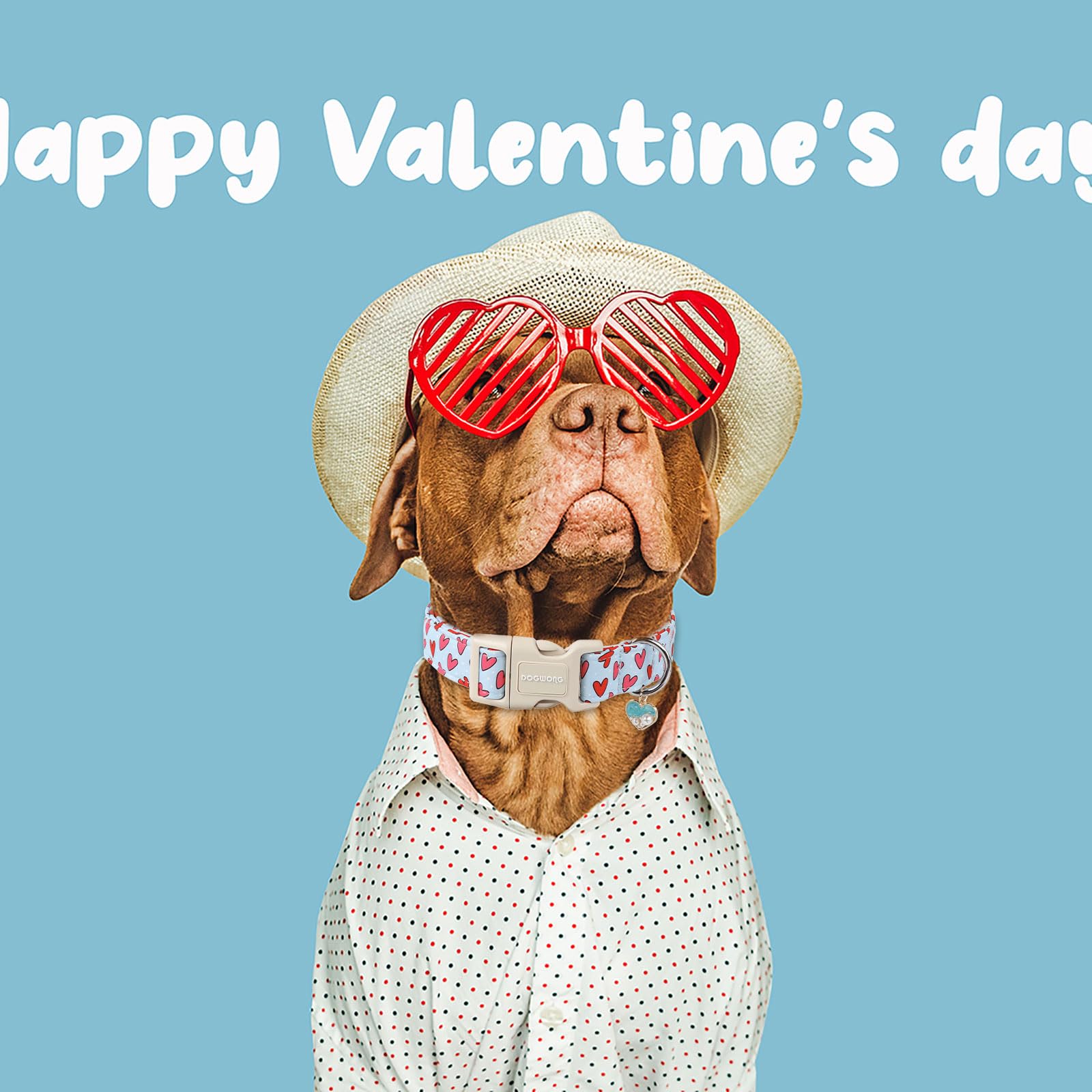 Dogwong Valentine Dog Collar- Cute Blue Heart Dog Collars Adjustable Designer Valentines Day Puppy Heart Dog Collar For Small Me