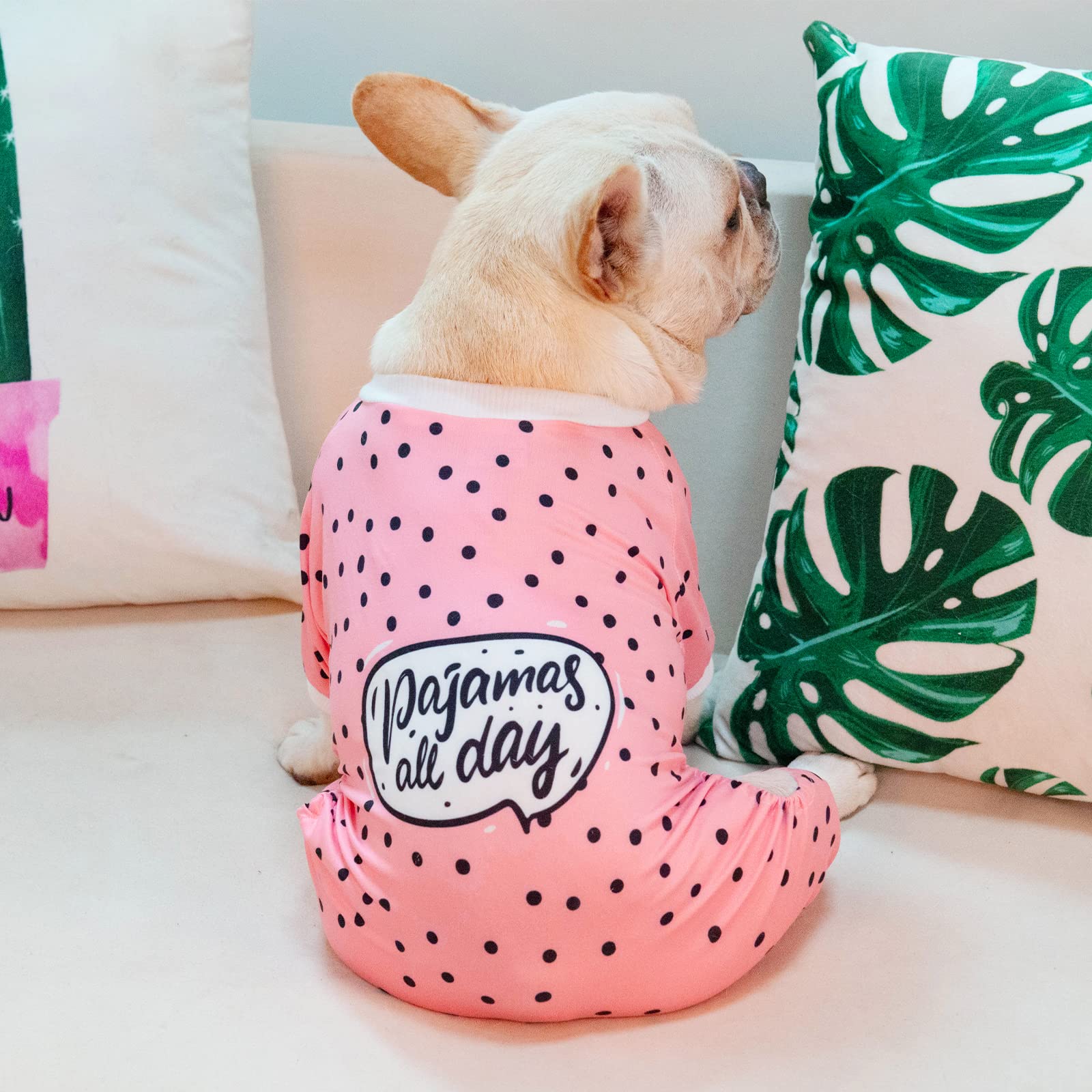 Cutebone Fun Letters Small Dog Pajamas Stretchy Puppy Pjs Soft Cat Clothes For Daily Wear Da13S