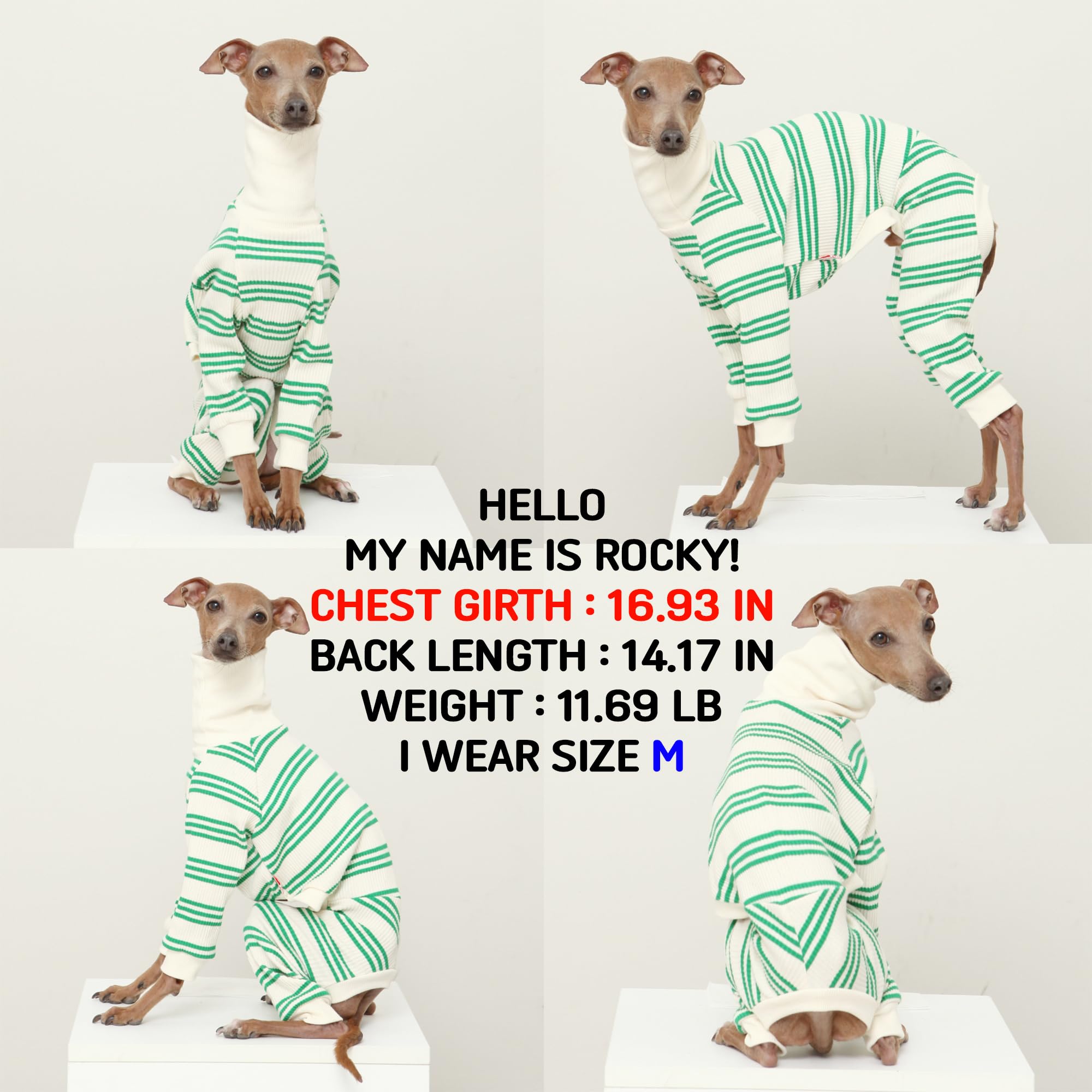 D Doggy Star Italian Greyhound Clothes Soft Stretchy Onesie Refined Stripe Outfit Whippet For Dog Coat (M,Onsi Green Str)