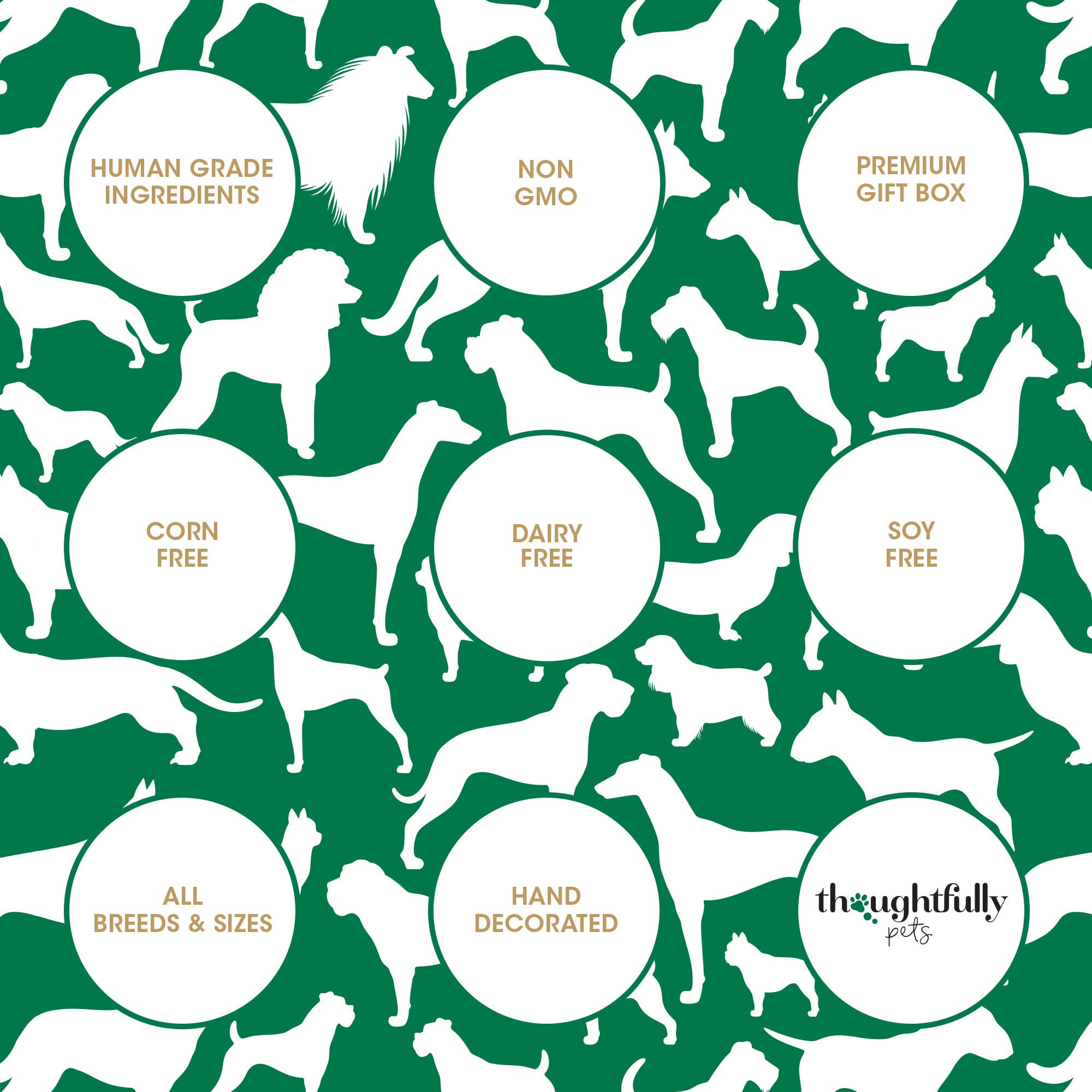 Thoughtfully Get Well Dog Cookies Gift Set - 8 Crunchy Treats, Hand Decorated Biscuits to Brighten Their Day