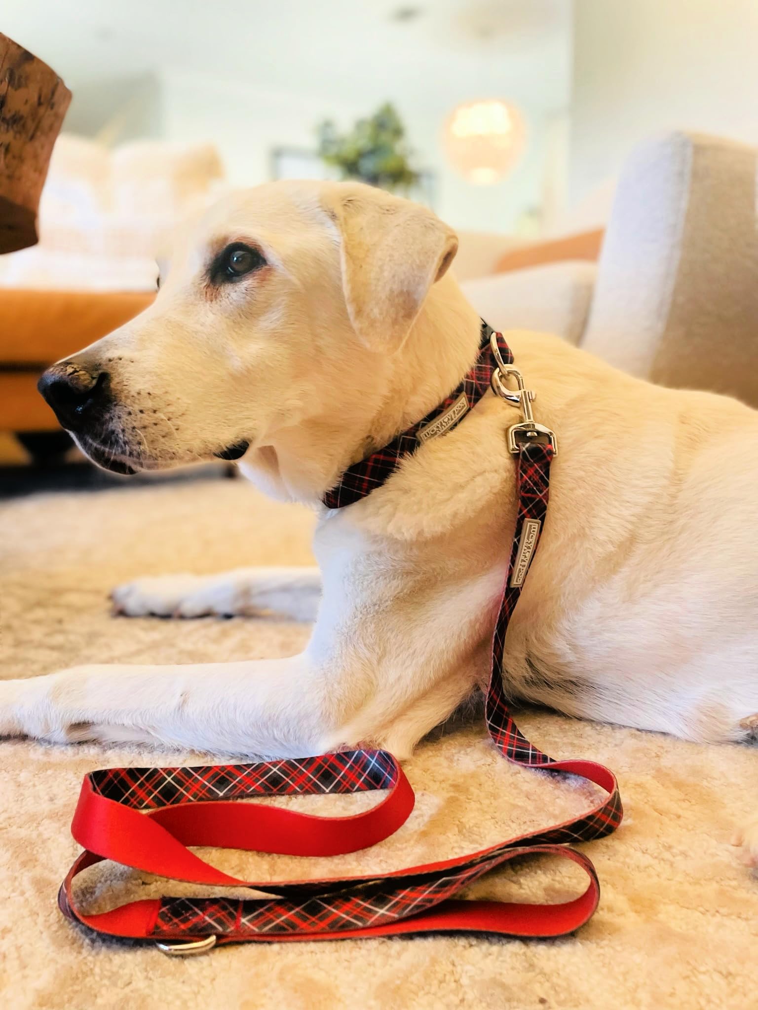 Lucky Love Dog Beautiful Evergreen Leash - Vivid Berry Plaid For Boy And Girl Dogs (Small, Heywood)