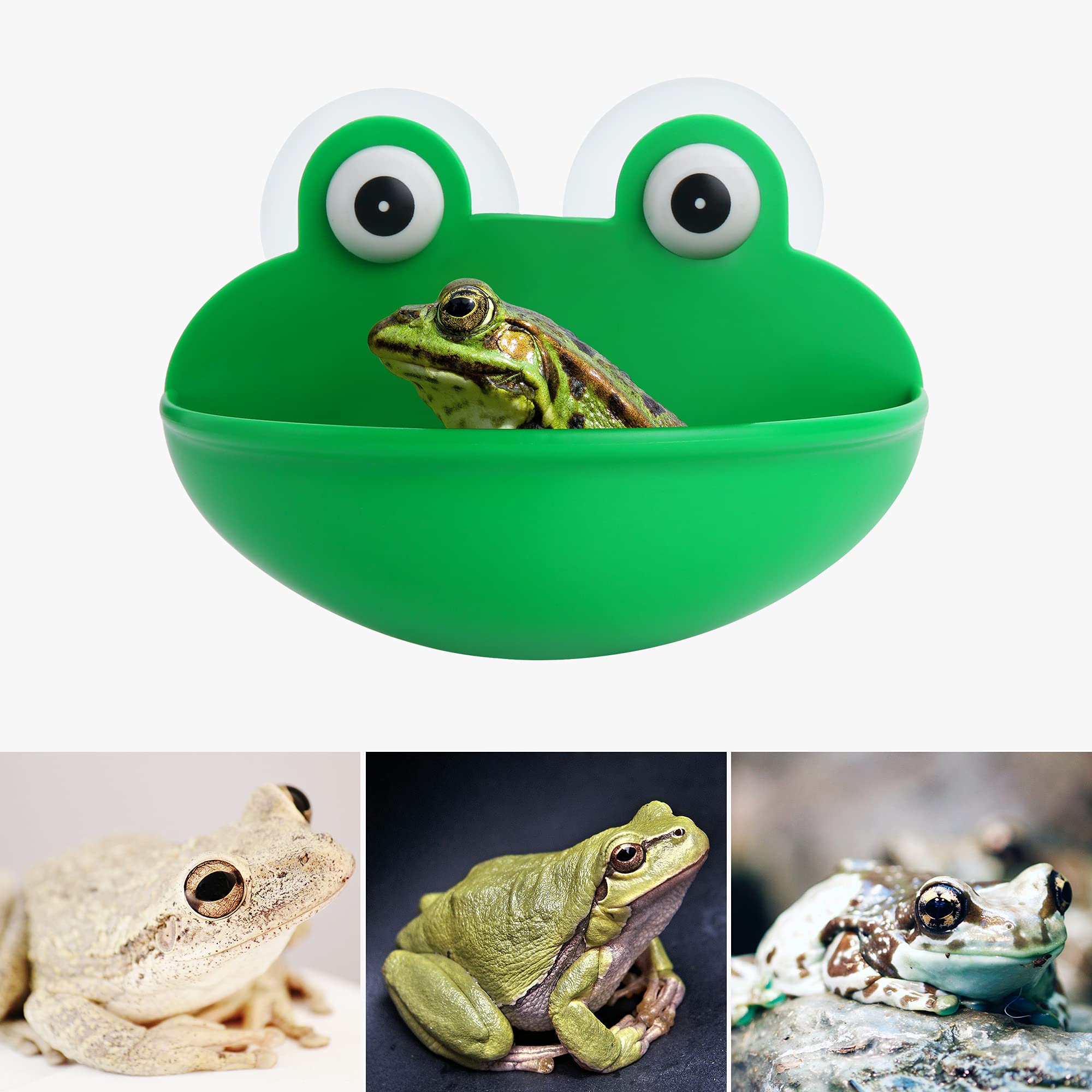 Pensino Frog Habitat Frog Dish Holder With Suction Cups, Cute Frog Terrarium Decor Fish Tank Decoration For Tree Frog Toad Tadpo