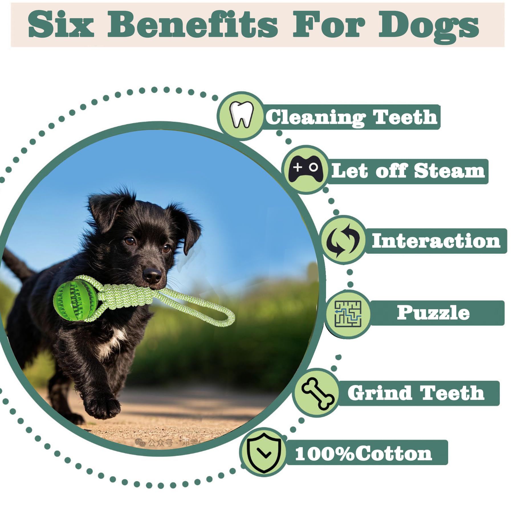 Interactive Dog Toys With Indoors/Outdoors, Tug Of War Toys For Small, Medium And Large Dogs, Green Kit Includes Elastic Cord, R