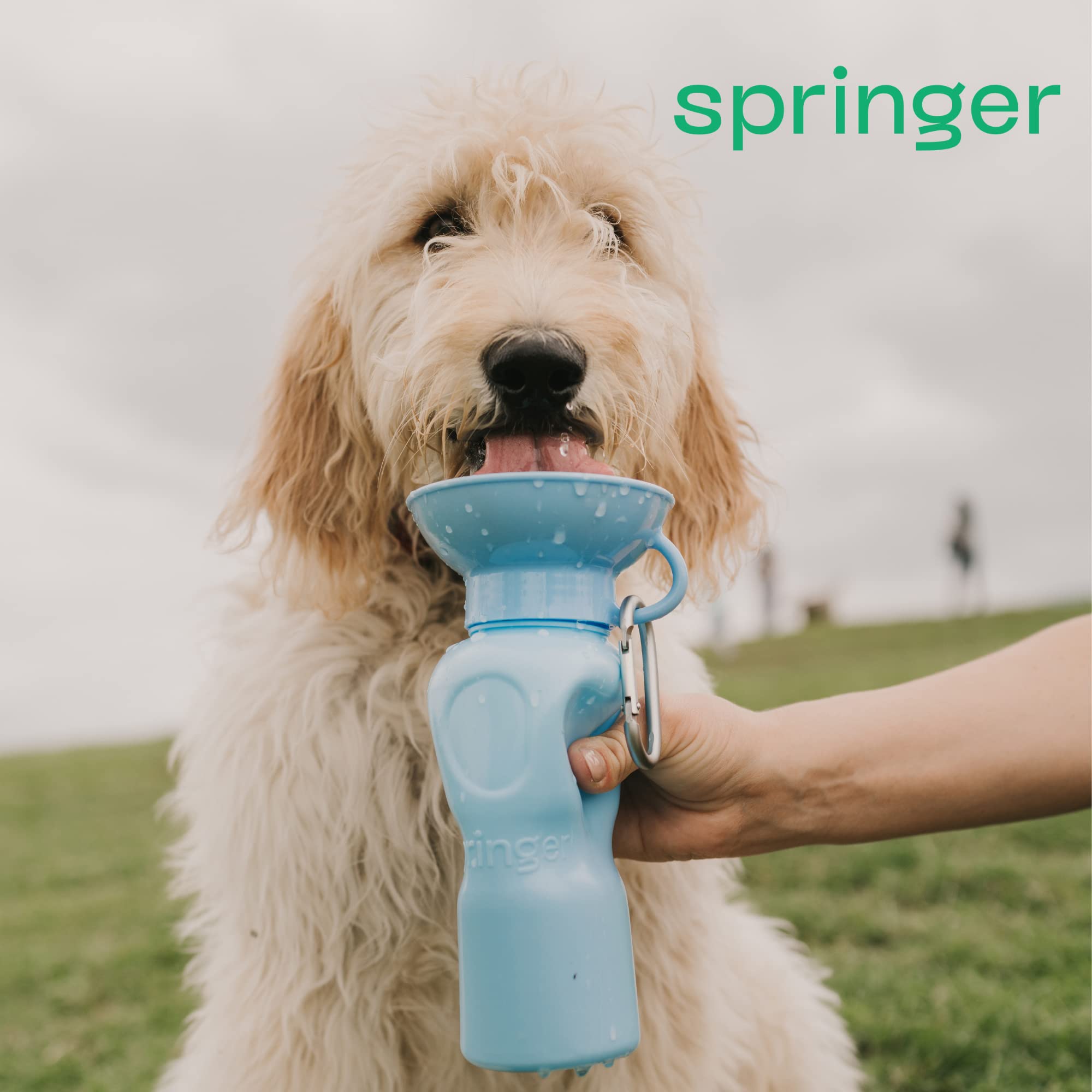 Springer Dog Travel Water Bottle | As Seen On Shark Tank | Patented, Leak-Proof, Portable Water Bottle For Dogs | Bpa-Free 22Oz Classic Lilac