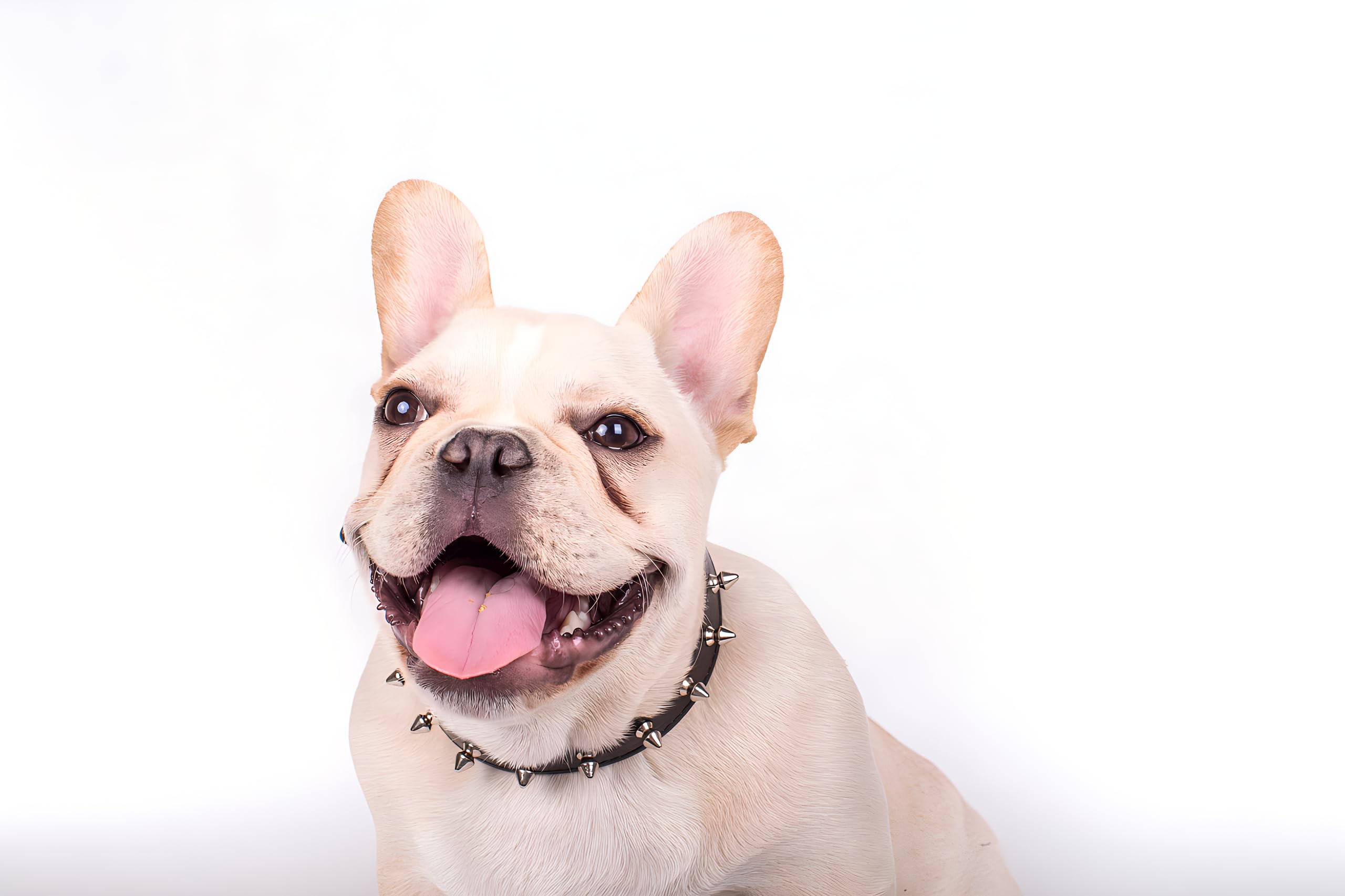 Dog Collar With Spikes, Spiked Cat Collars Pu Leather Studded Spiky Puppy Collars For Xs Small Medium Dogs Male Pets Like Chihua