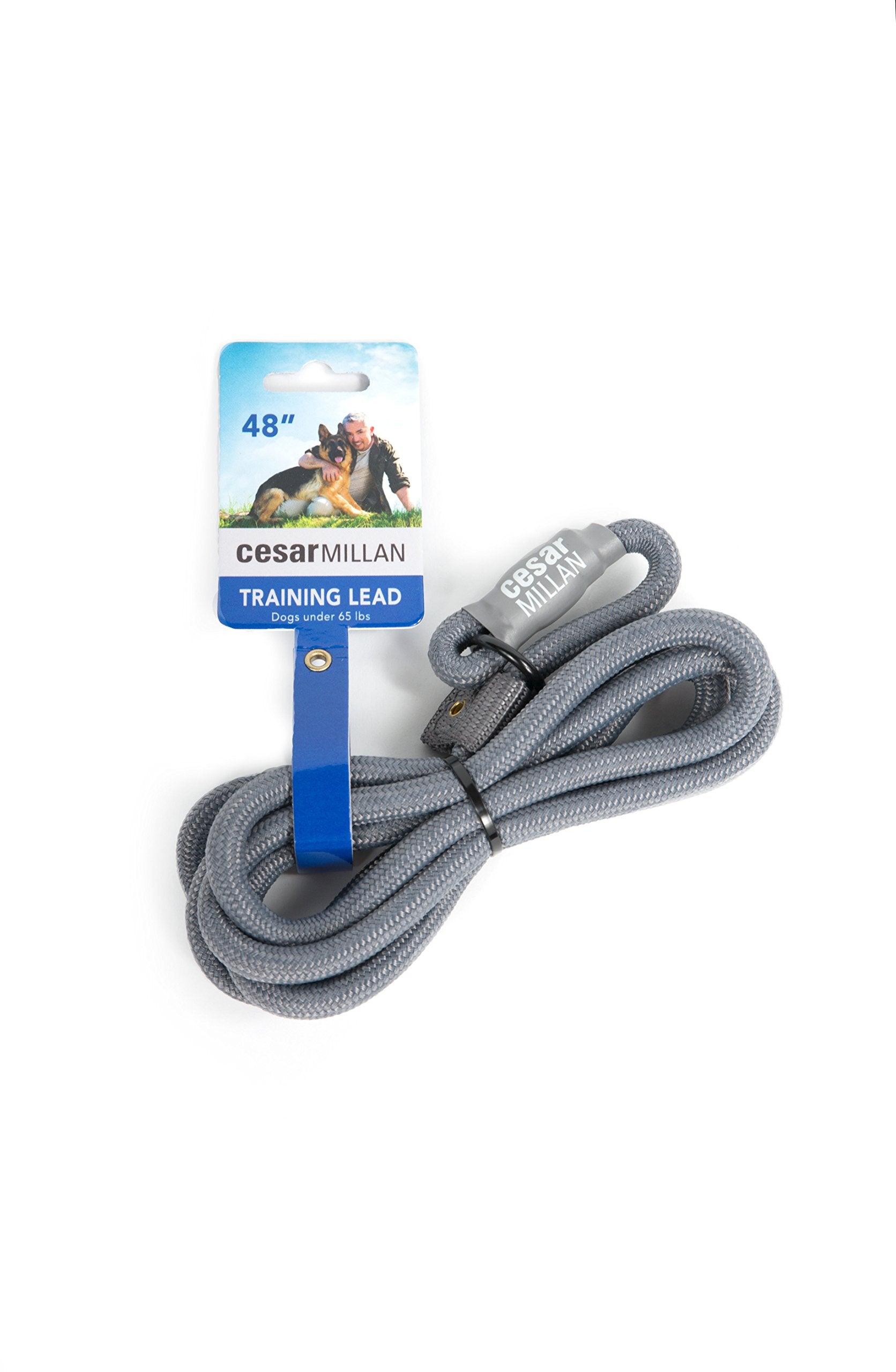 Cesar Millan Slip Lead Leash™ - 2-In-1 Slip Collar Dog Training Lead & Collar | Heavy Duty Durable Weatherproof Rope Leash, No Pull Training | Length 4Ft Diameter 4/10”(Regular, Grey)