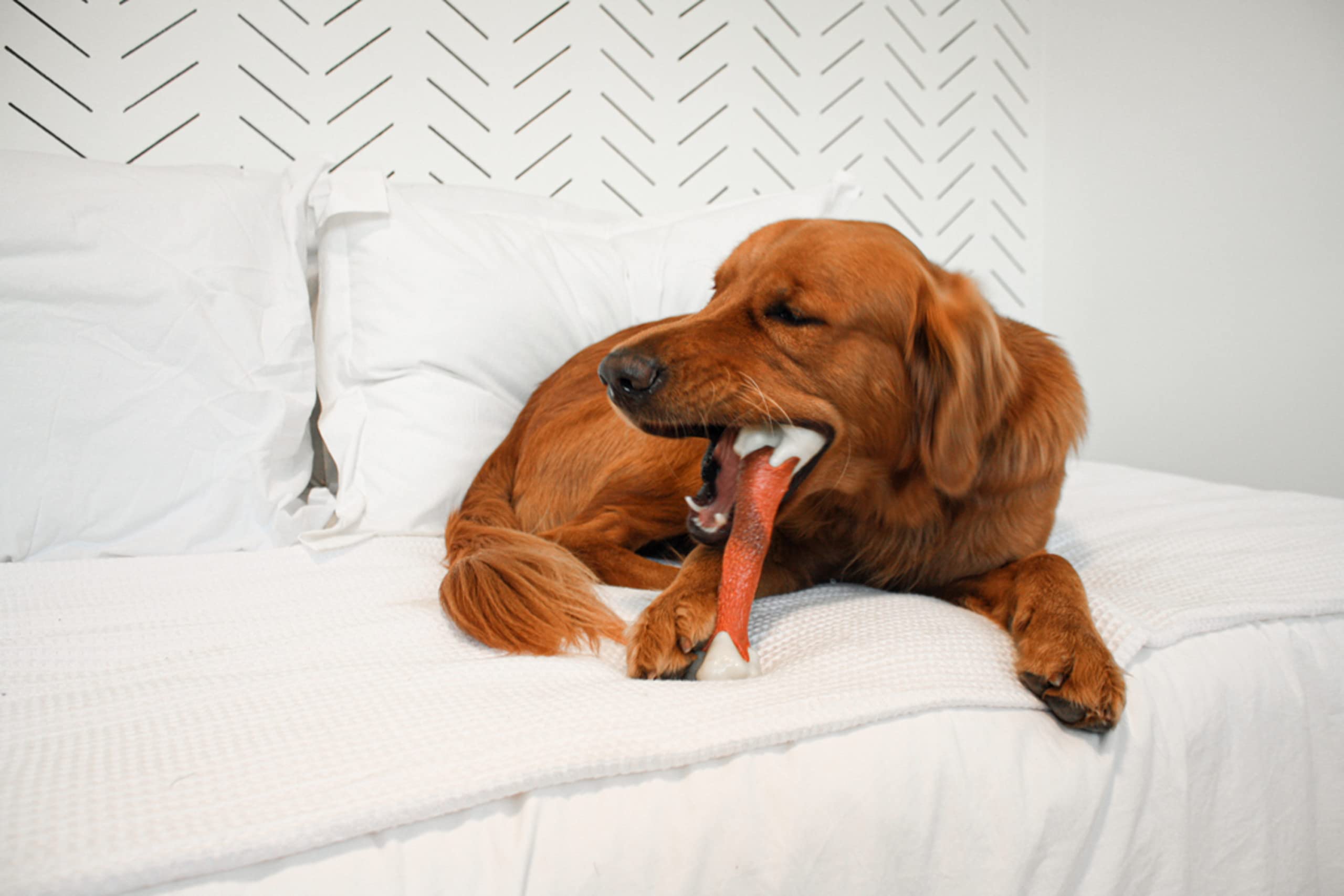 Nylabone Femur Bone Alternative Power Chew Toy For Dogs, Dog Toys For Aggressive Chewers, Beef Flavor, Large - Up To 50 Lbs, 1 Count