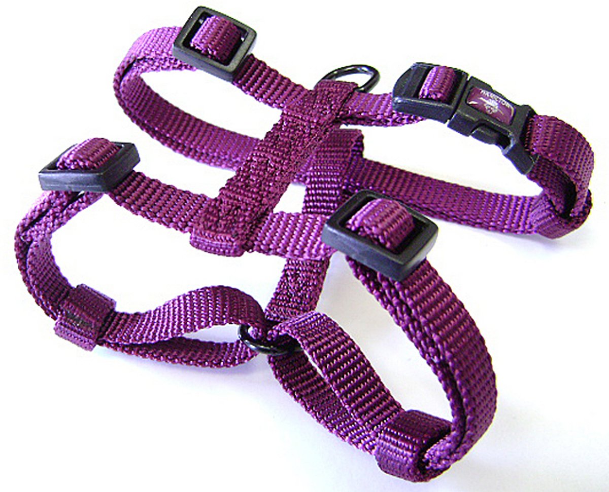 Hamilton Adjustable Comfort Nylon Dog Harness, Wine, 5/8'' x 12-20''