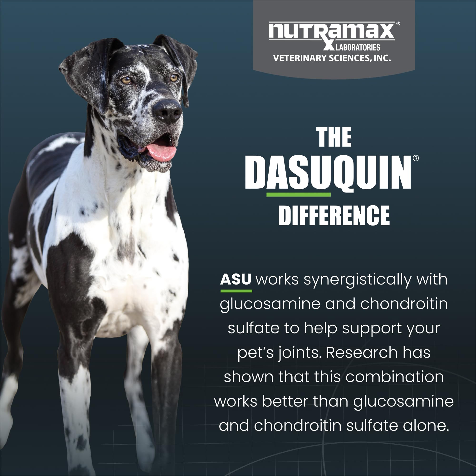 Nutramax Laboratories Dasuquin Joint Health Supplement for Large Dogs - With Glucosamine, Chondroitin, ASU, Boswellia Serrata Ex