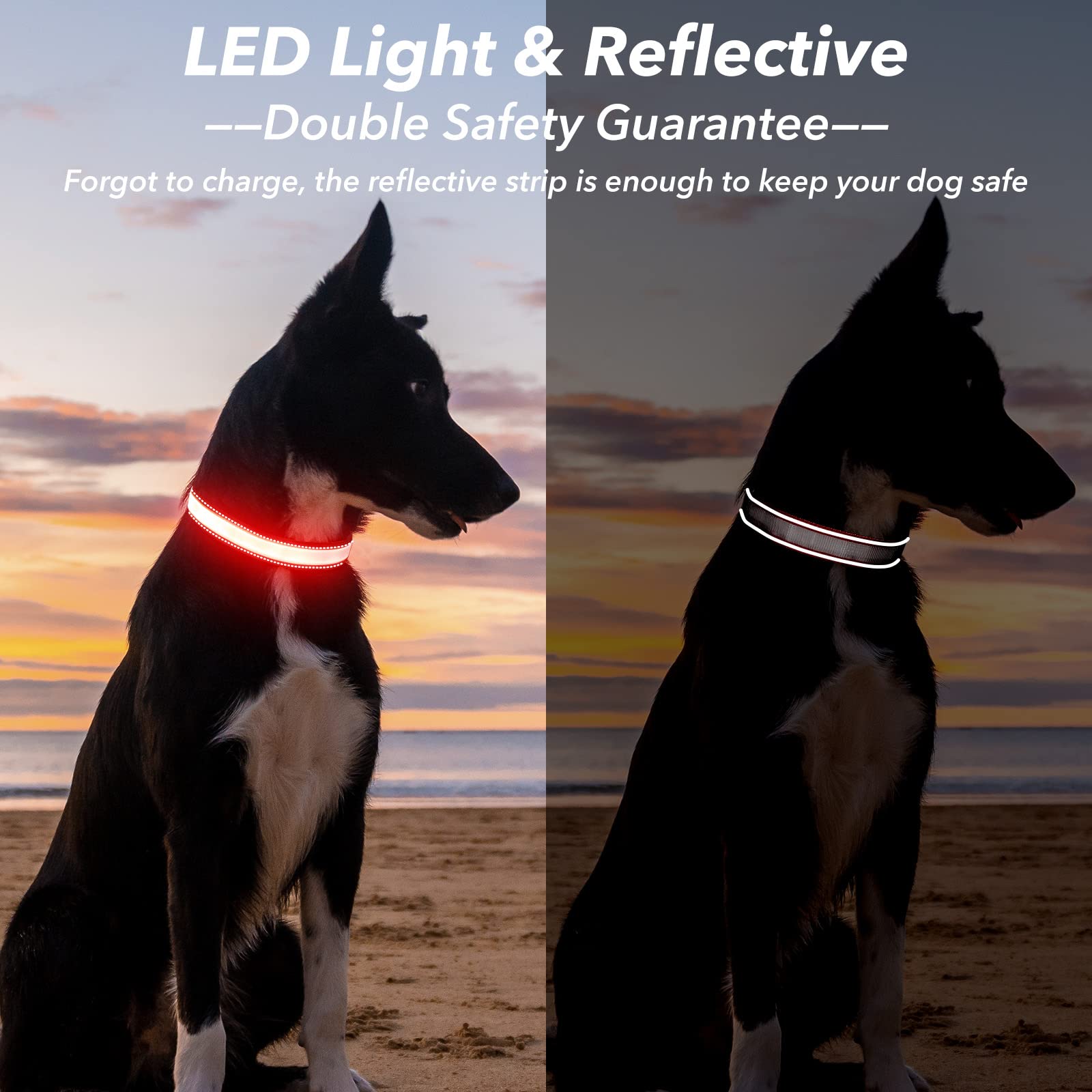 Visinite Light Up Dog Collar, Reflective Led Dog Collar, Adjustable Lighted Dog Collars Rechargeable Waterproof, Bright Dog Glow Collar For Pet Safety At Night Walking, Fit Large Medium Dogs