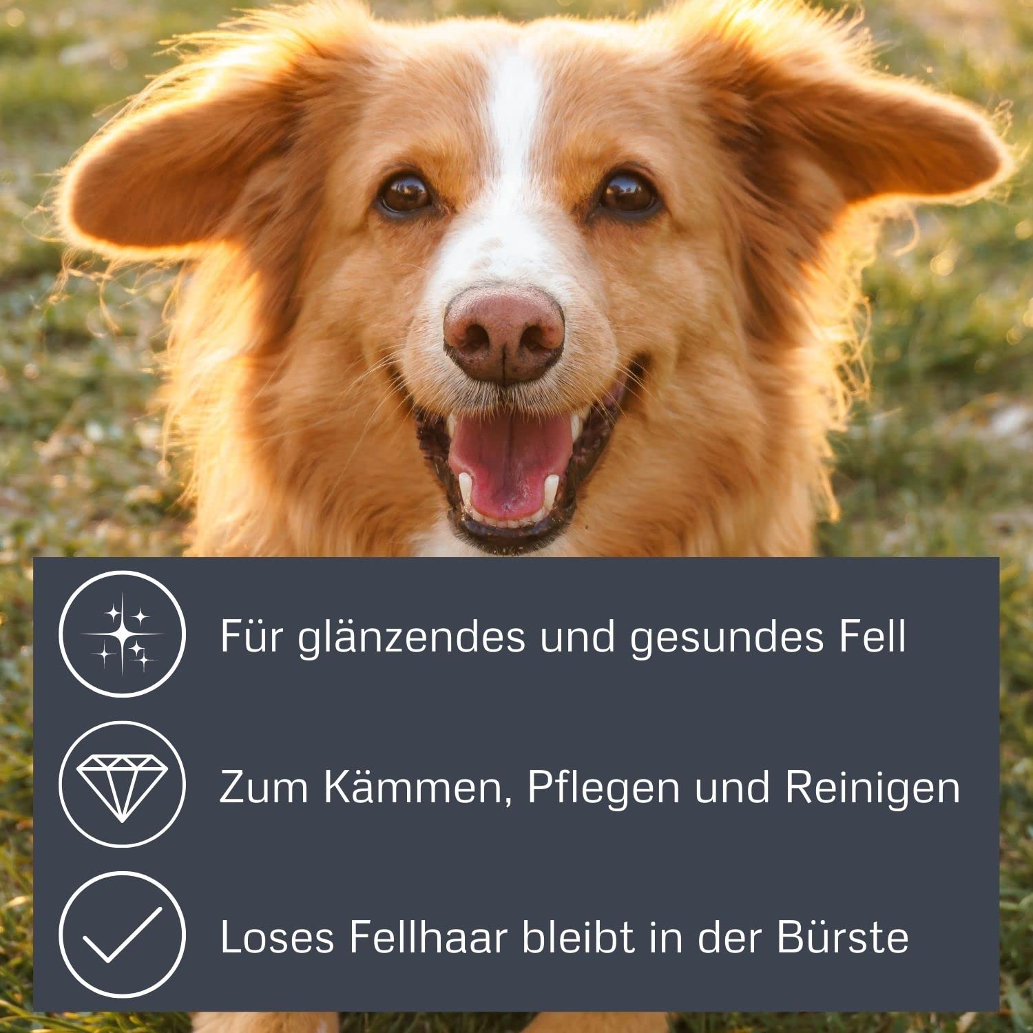 Bamboo Groom Slicker Brush With Stainless Steel Pins For Pets, Large