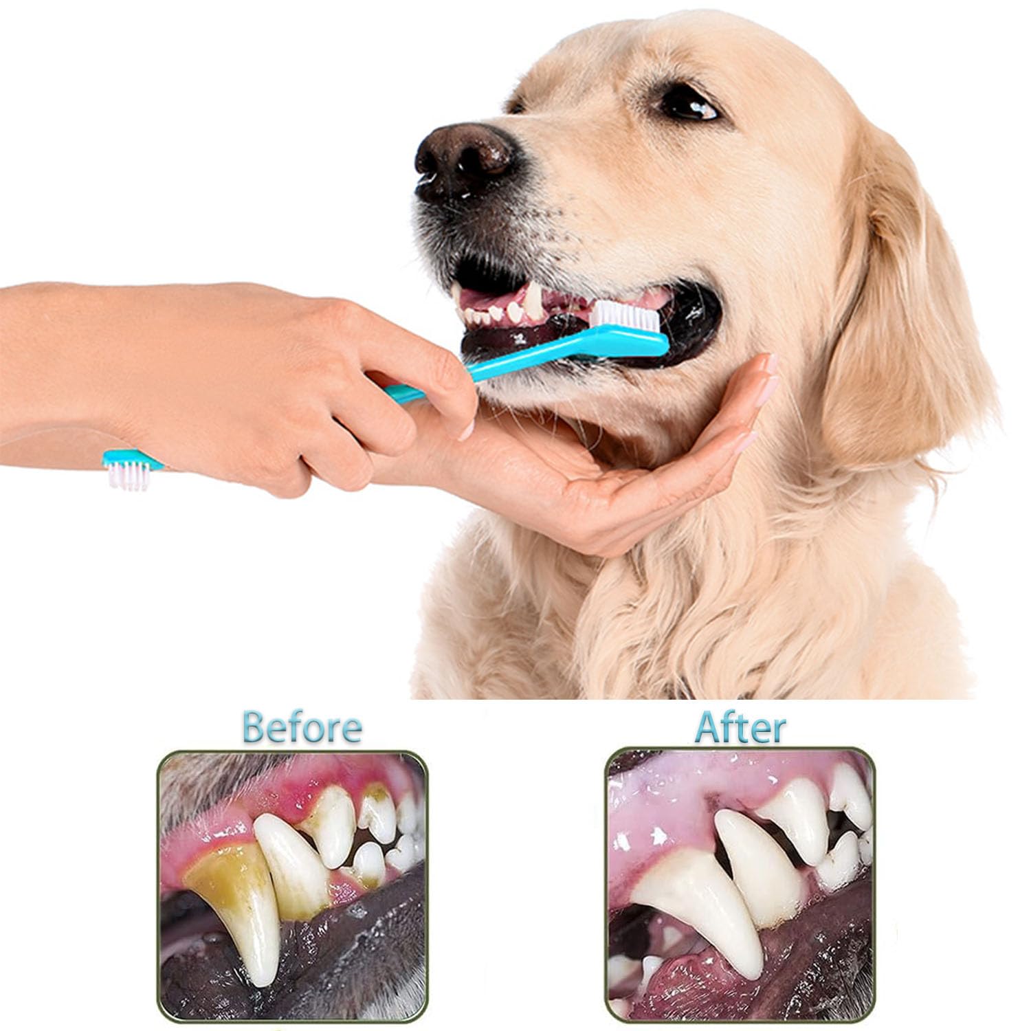 URMYONLY Dog Toothbrush, 360 Degree Finger Toothbrush, Triple Head Toothbrushes,Cleaning Brushes for Dog Cat Oral Dental Health