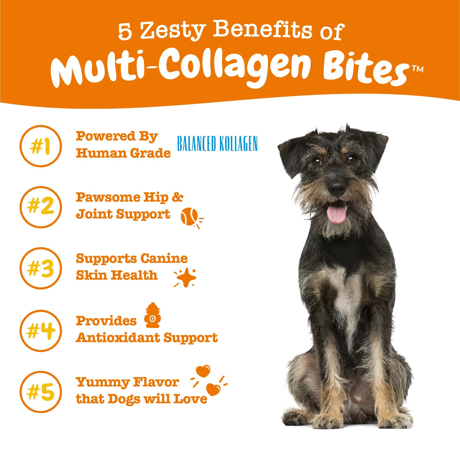 Zesty Paws Multi Collagen Soft Chews for Dogs - for Hip, Joint & Cartilage Support + Skin Health - with Collagen - Plus Eggshell