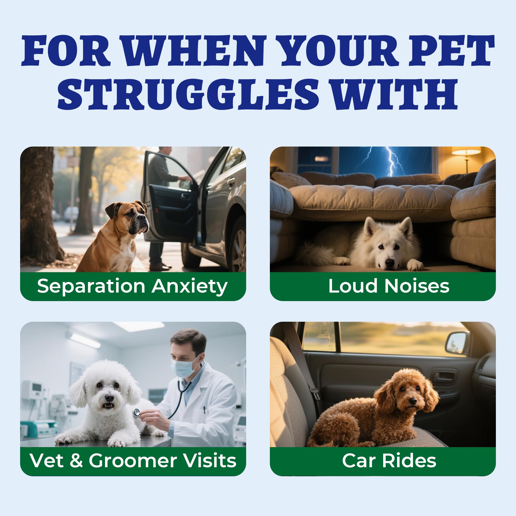 260 Bites Wellix Calming Chews for Dogs - Melatonin, L-Theanine, and Valerian Root - Calming Dog & Puppy, Relaxation, Thunder, F