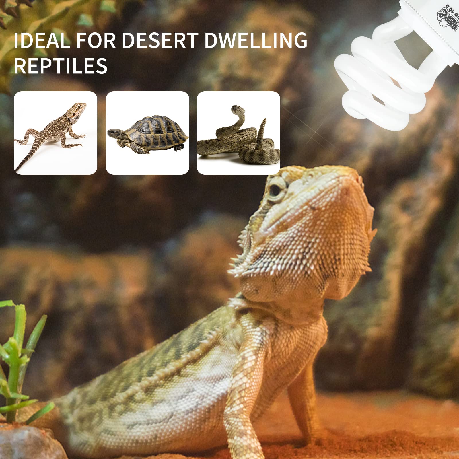 LUCKY HERP 2 Pack UVA UVB Reptile Light, 15W 10.0 UVB Bulb for Desert Reptiles, Compact Fluorescent Terrarium Lamp, Reptile UVB