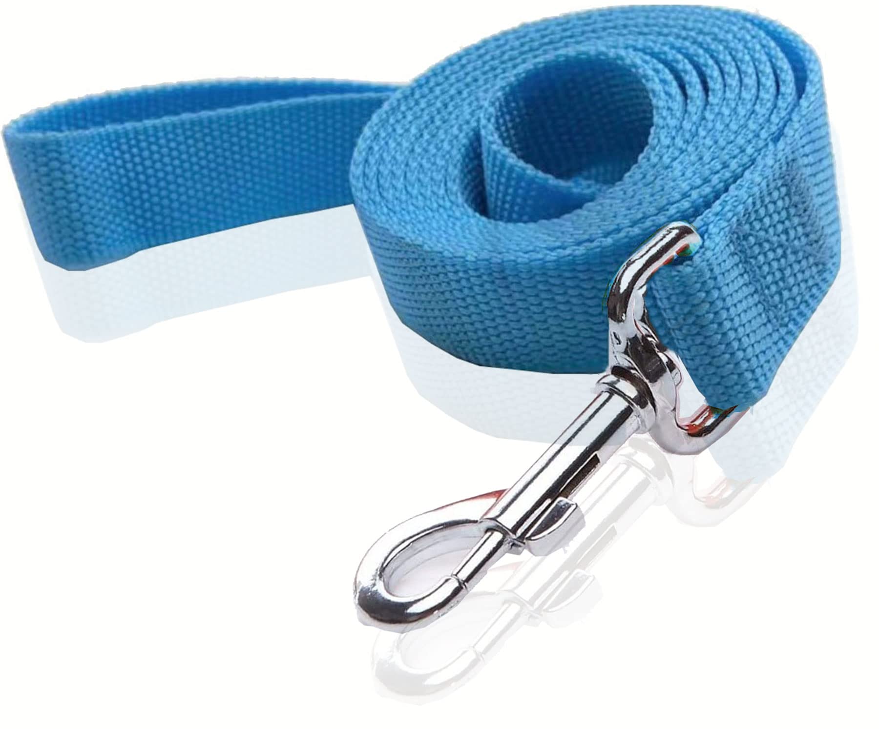 Nylon Dog Leash 4 Ft 5 Feet 6 Foot Long, Walking Training Dog Leashes For Medium Large Dogs, 1 Inch Wide (3/4'' X 6 Ft, Blue)