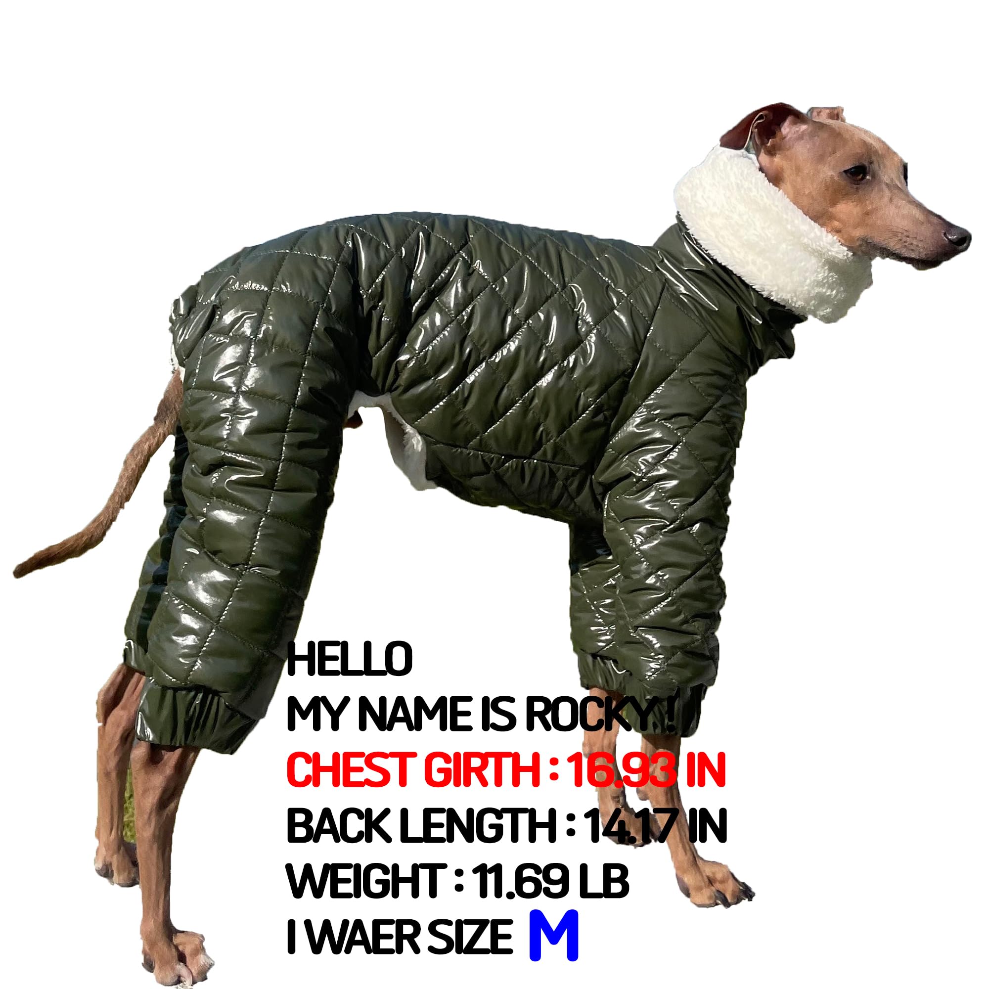D Doggy Star Italian Greyhound Snowsuit Winter Thick Padded Coat Warm Outfits Jacket Turtleneck Clothes Whippet For Dog (2Xl,Sno