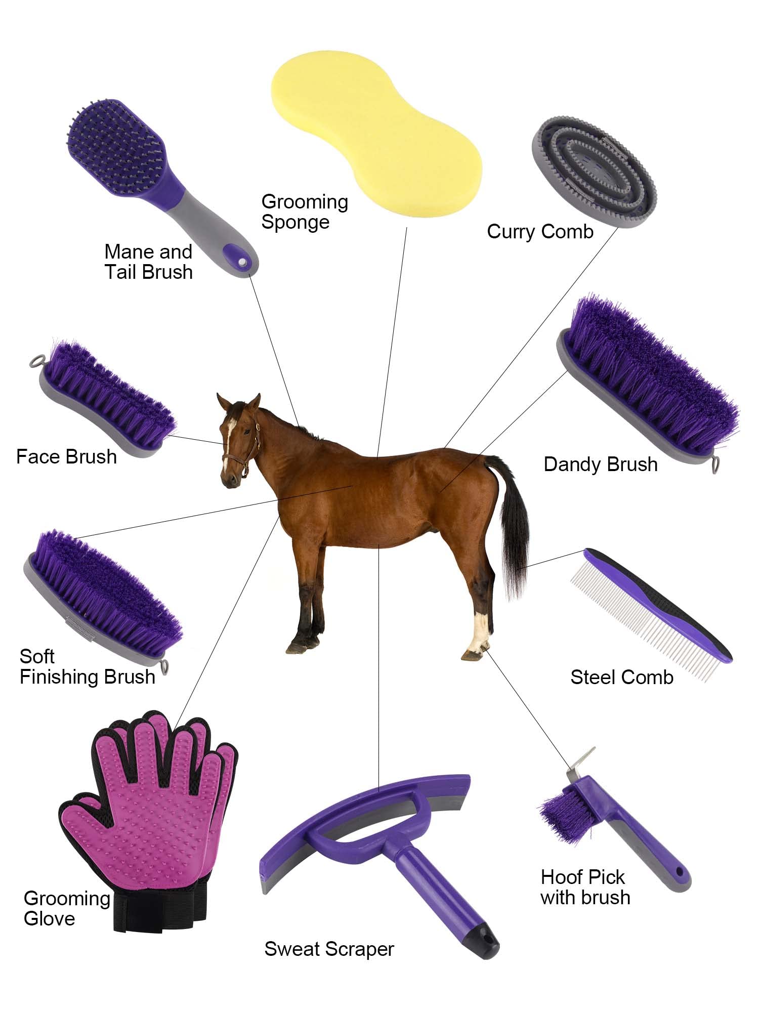 Ueemph Horse Grooming Kit (12-Piece): Brushes, Storage Bag, Sweat Scraper, Mane Comb, Grooming Gloves - Purple Horse Gifts For G