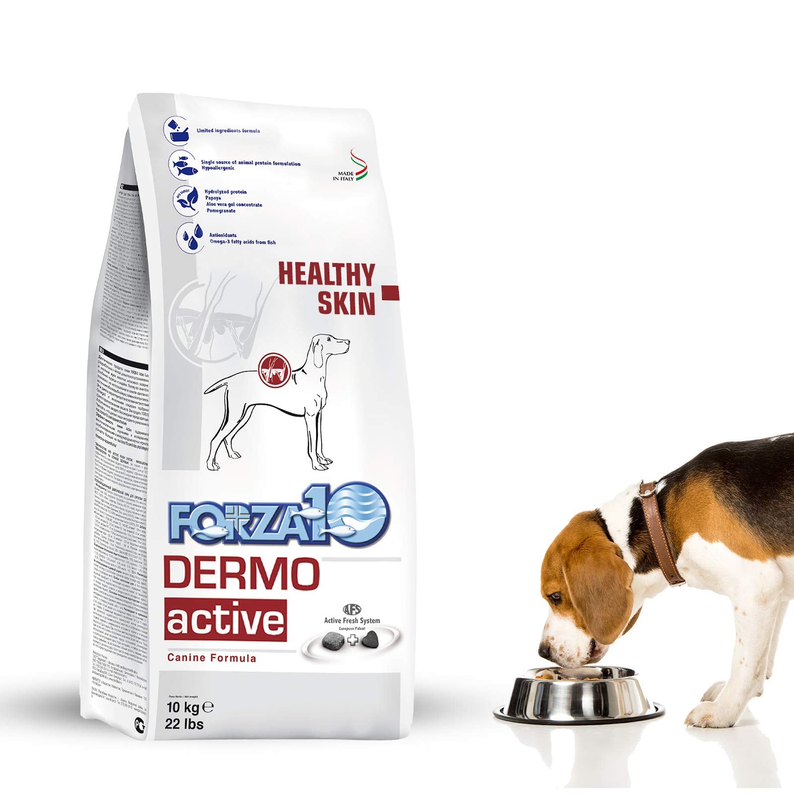Forza10 Dermo Allergy Dog Food for Allergies and Itching, Fish Flavor Dry Dog Food for Skin Allergies and Sensitive Stomach for 