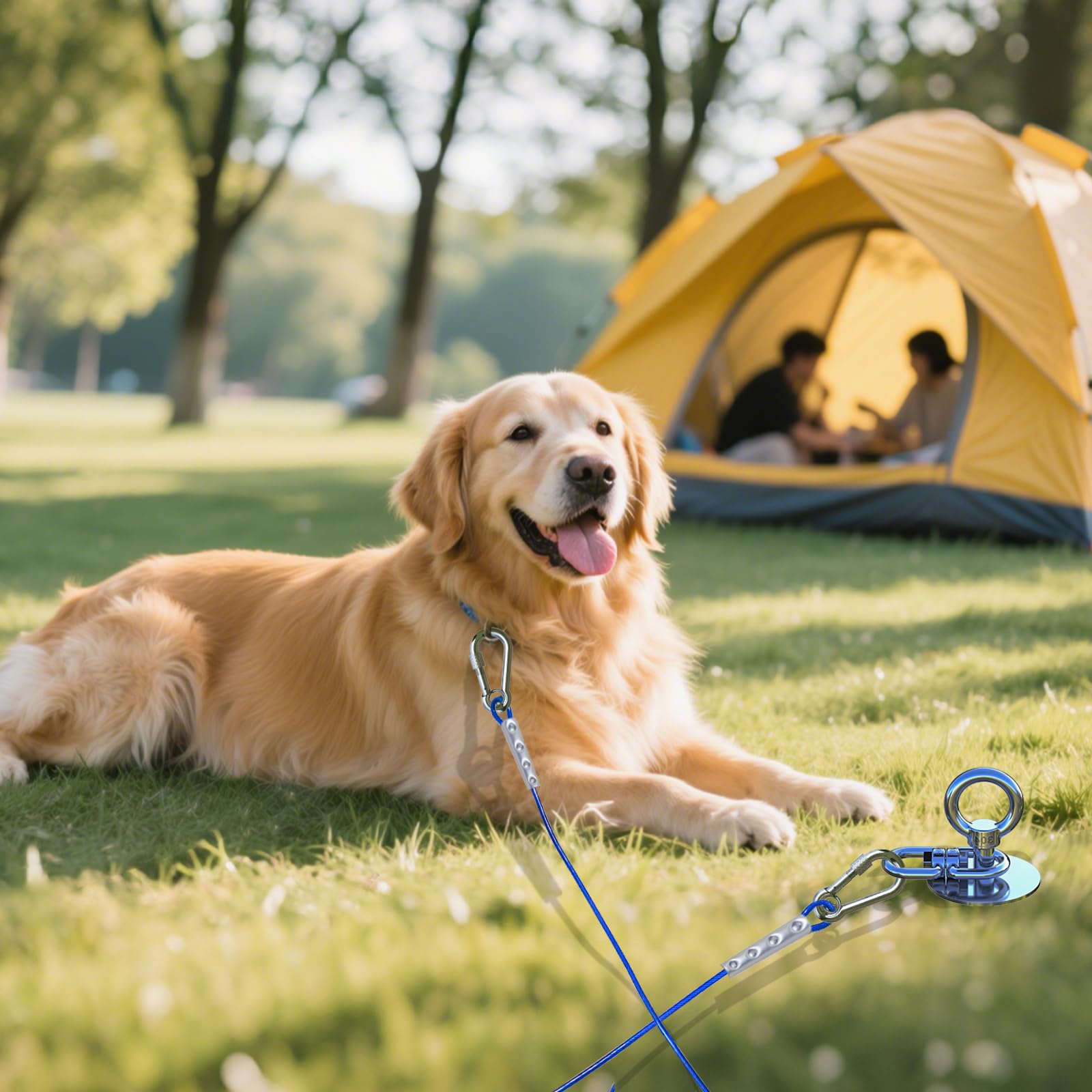 TOPKNOT Dog Tie Out Stake,Heavy Duty Dog Run-304 Stainless Steel Anchor,360 Swivel Dog Runner for Yard,Use Any Dog Tie Out Cable