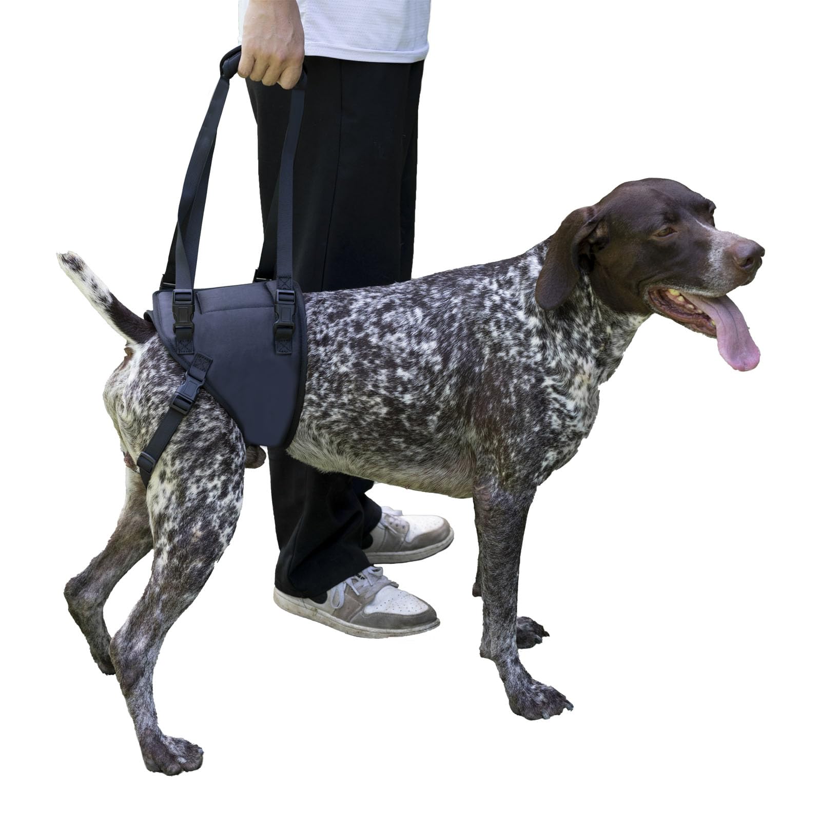 Sling For Dogs With Injuries And Stifle Weakness Stifle Support Device For Stifle Weakness/Disability And Stifle Injuries Dog Ca