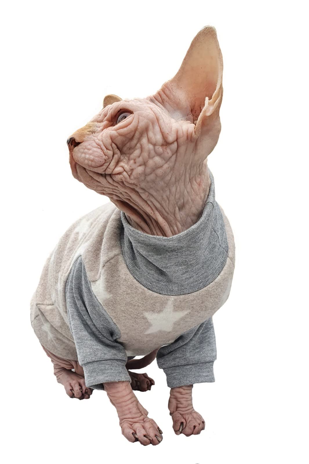Kotomoda Hairless Cat'S Cotton Stretch Winter Sweater Sort Stars. Organic Fleece For Sphynx Cat (X-Large)