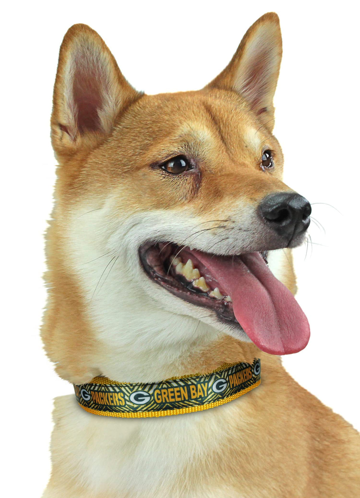 Zubaz Nfl Team Adjustable Pet Collar For Dogs & Cats, Green Bay Packers, Small