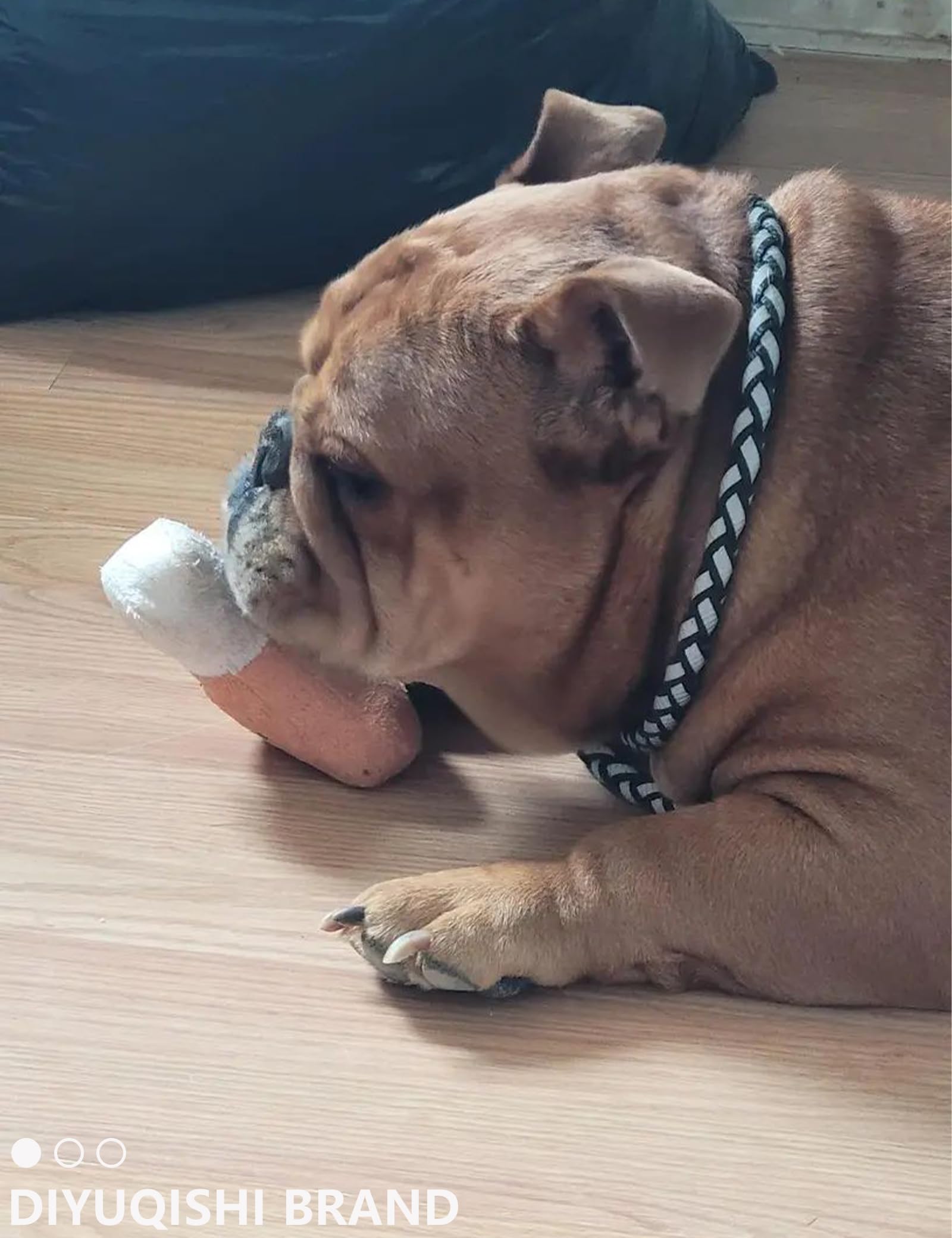 Diyuqishi 2-Pack Puppy Chew Toys - Cute Squeaky Pizza & Bone For Teething Small Dogs, Soft & Sturdy Playtime Fun (7.4'' - 9.5'',