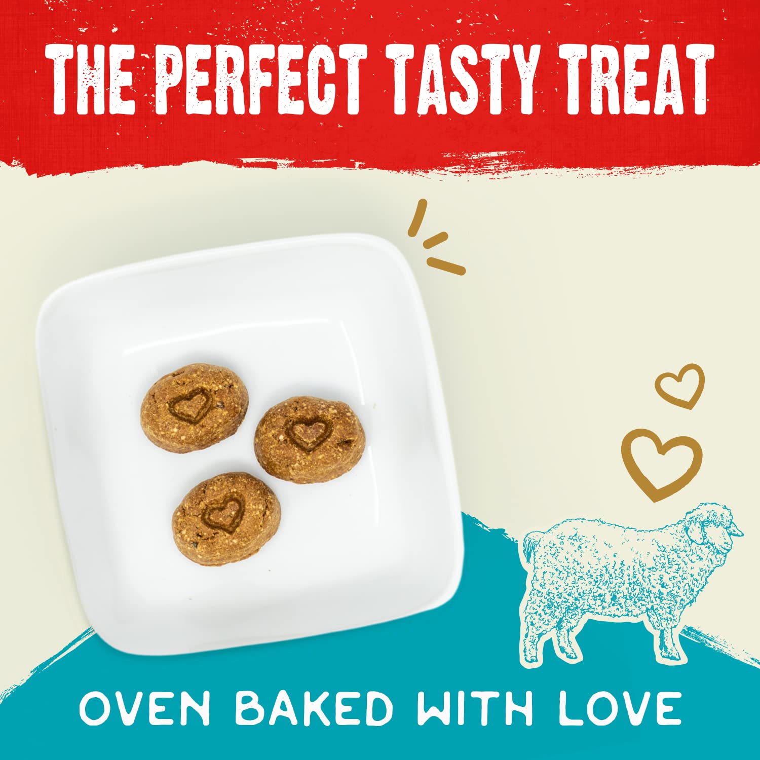 Stella & Chewys Freeze-Dried Raw Coated Dog Biscuits - Grass-Fed Lamb Recipe - Protein Rich, Grain Free Dog & Puppy Treat - Gre