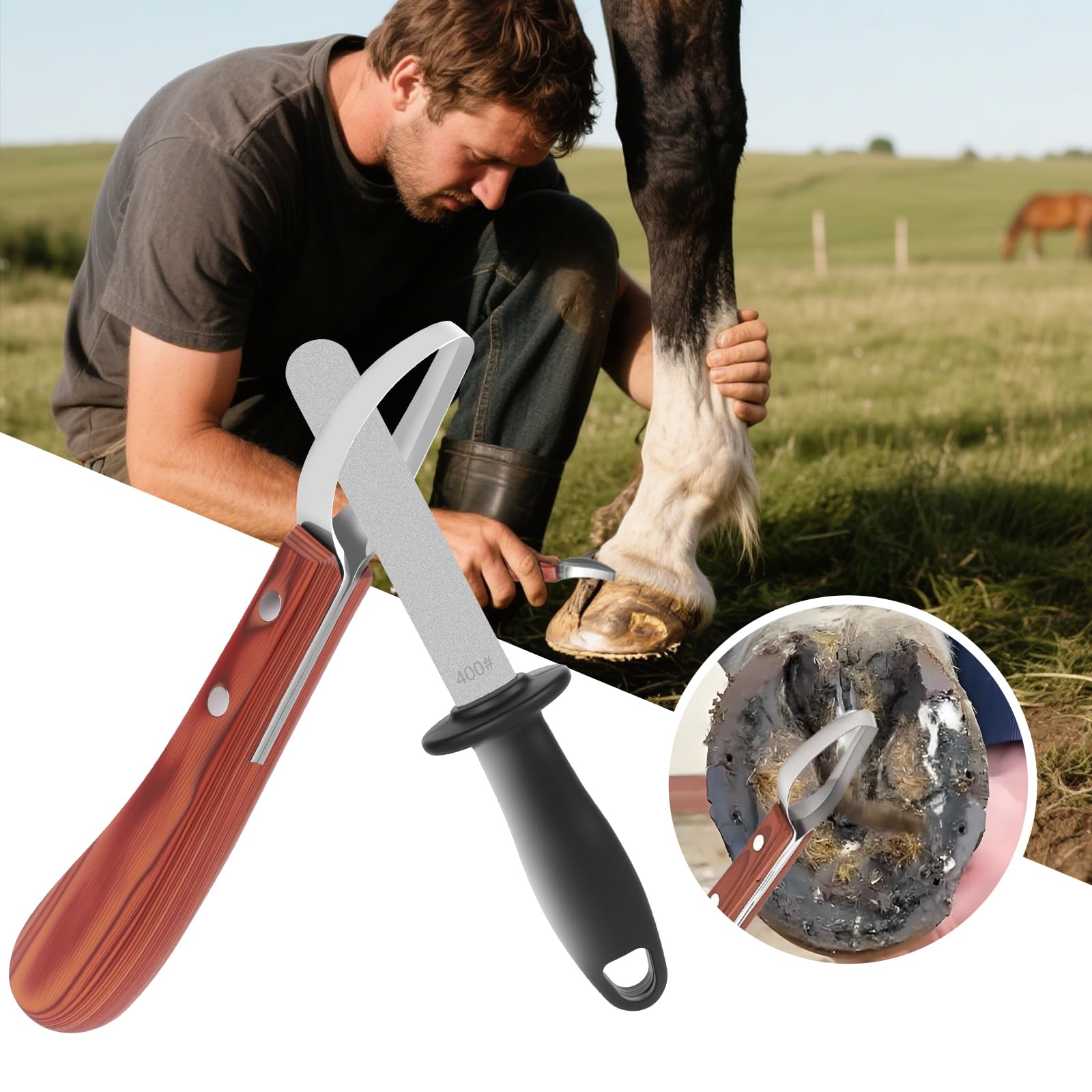 ETCYAOXIN 3-in-1 Farrier Hoof Knife with Built-in Sharpenerener & Horseshoe Brush-High Carbon Steel Blade,Sharpener Hoof Knife,H