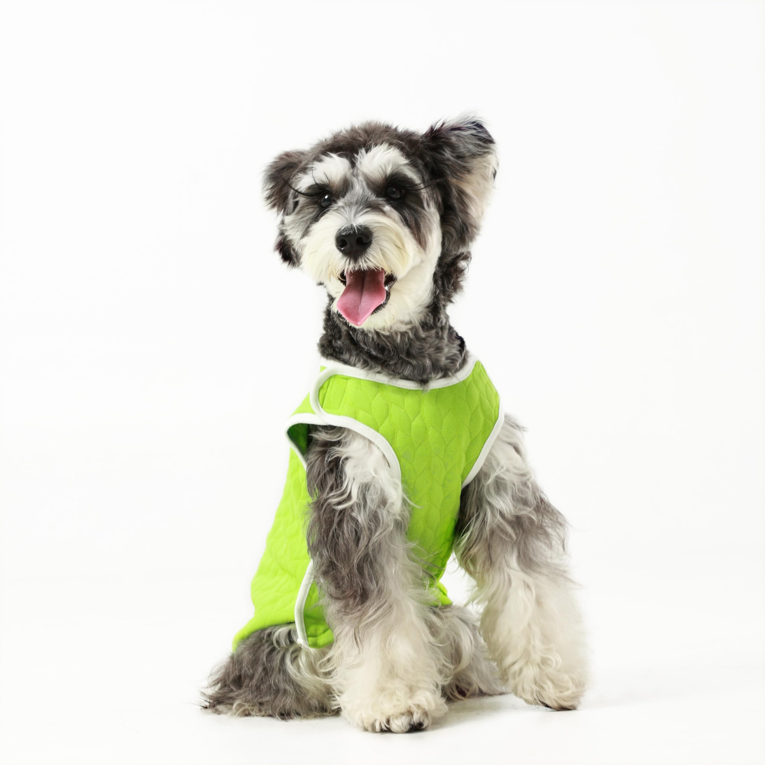 Knewchord Dog Shirts Soft Warm Cat Shirts Pet T-Shirt Puppy Dog Apparel Tee Tanks, Easy On And Off (Green, Xxxx-Large)