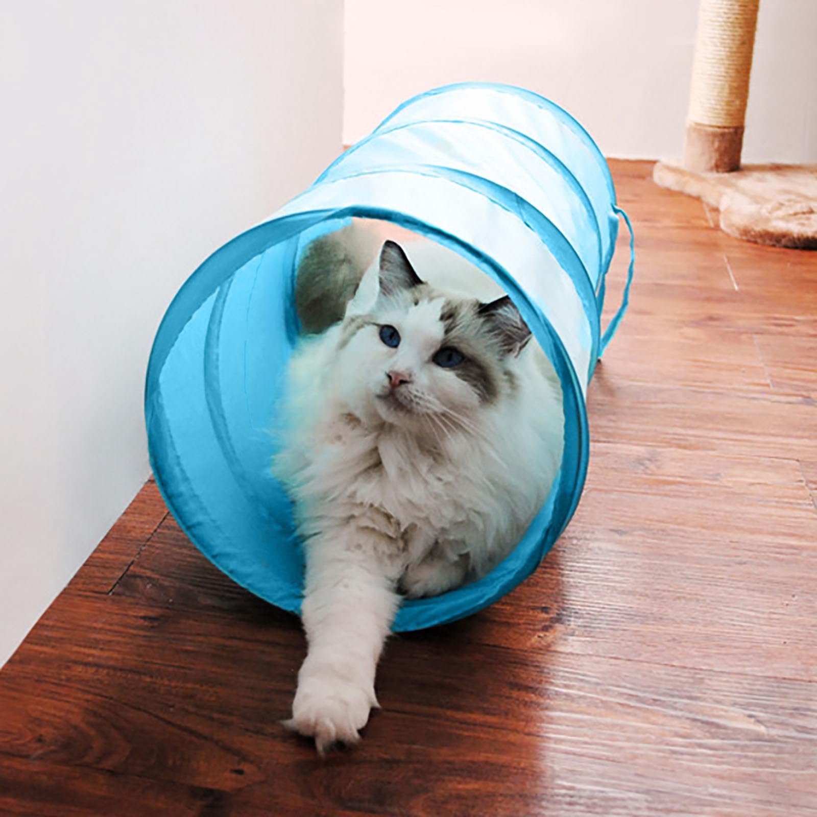 Icagy Cat Tunnel For Indoor Cats, Pet Cat Kitten Rabbit Play Toys Tube Tunnel Interactive Crinkle Pop Up 20''