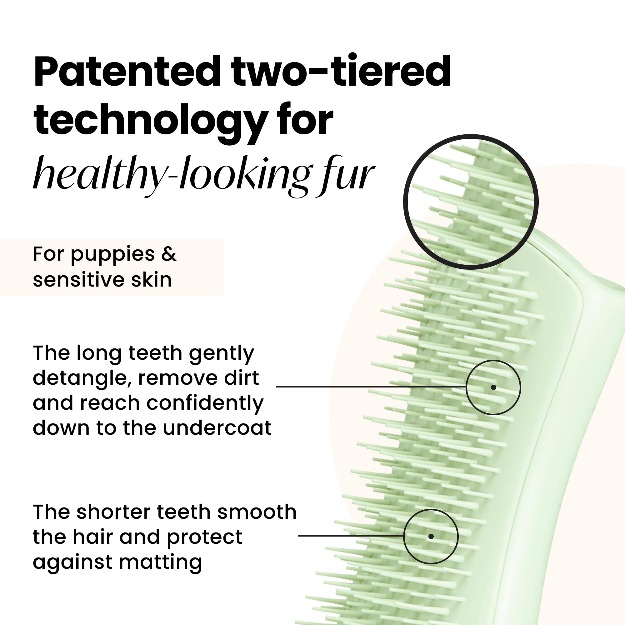 Pet Teezer By Tangle Teezer Puppy Essential Dog Brush, With Extra Soft Teeth For Gentle Grooming On Wet Or Dry Fur, Mint