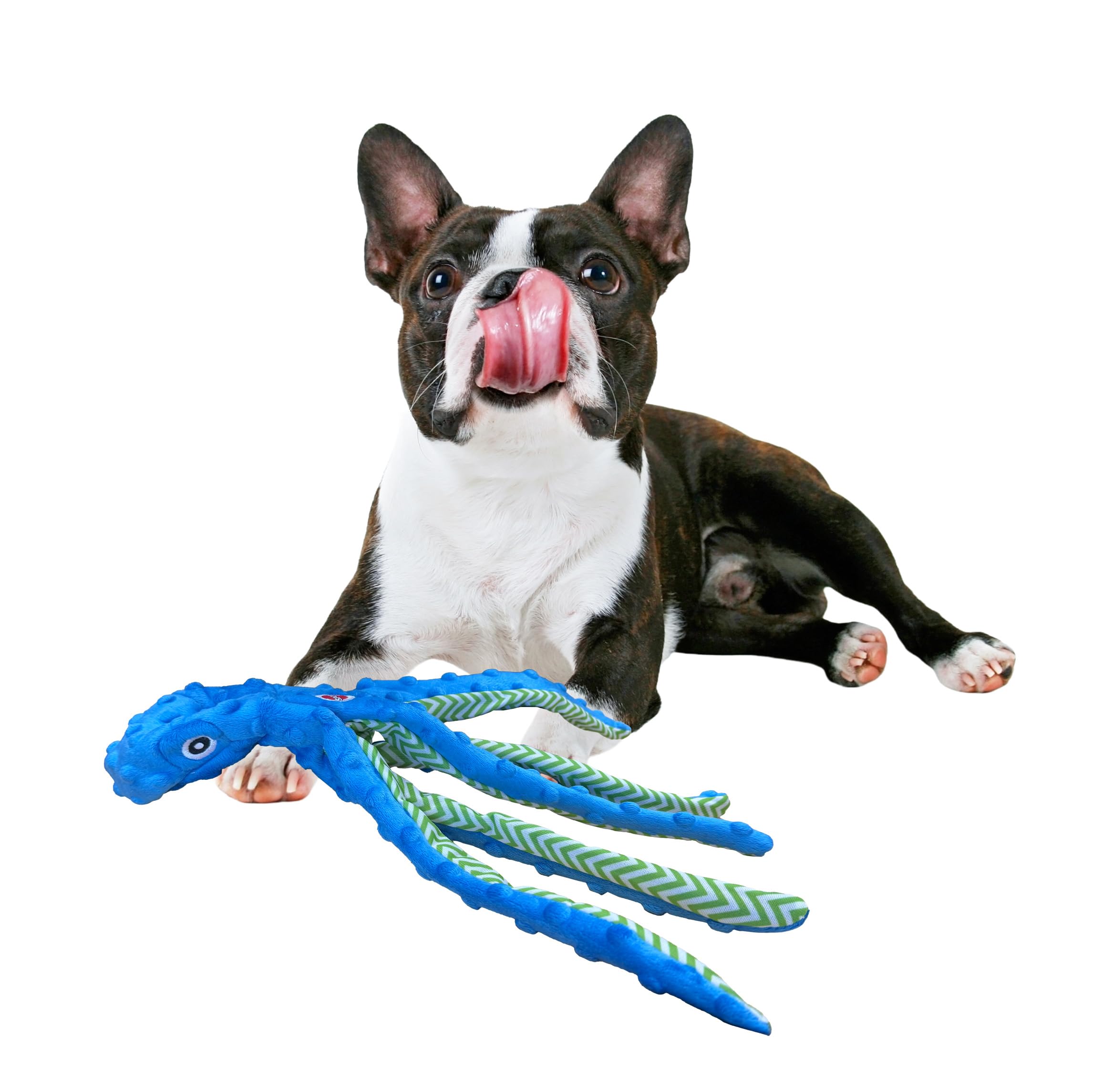 SPOT Skinneeez Extreme Octopus Dog Toy - 16    Stuffing-Free Plush Toy for Small/Medium Dogs with Squeaker - Great for Puppies &